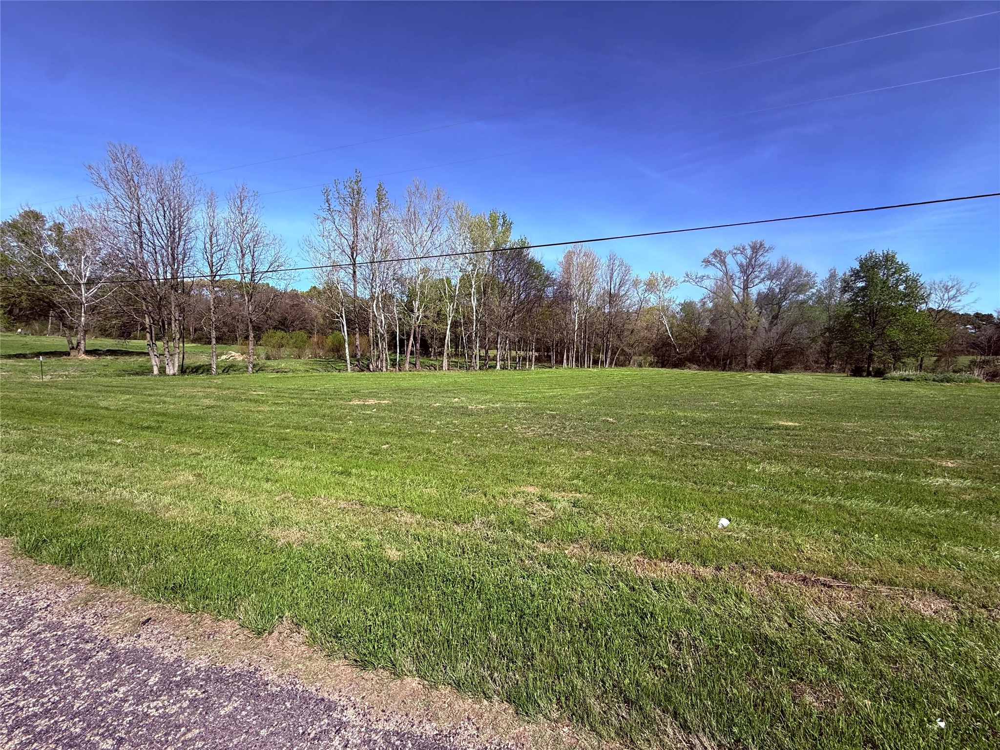 Tbd Tx-11 E Winnsboro TX 75494