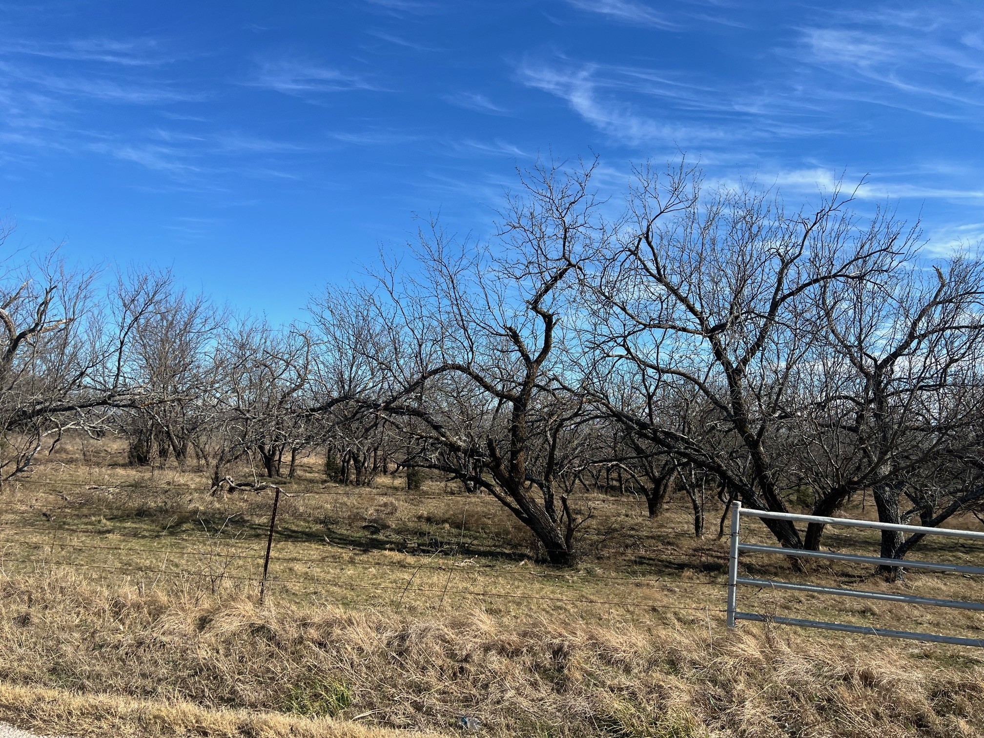 Tbd Wright Road Sherman TX 75092