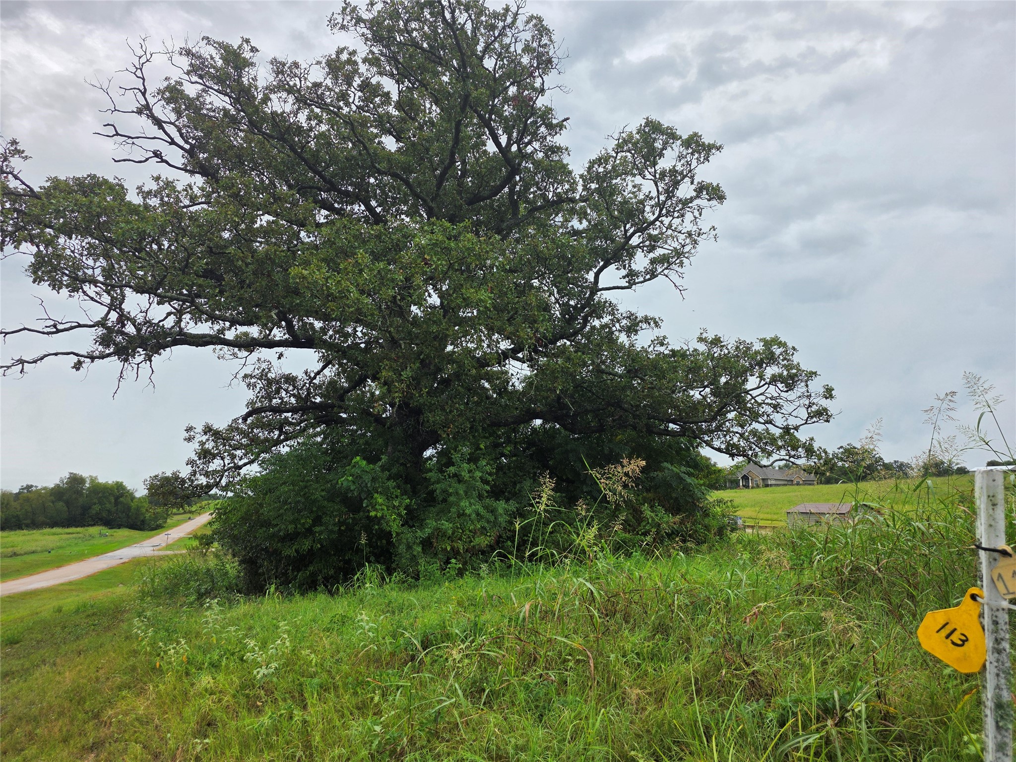 Lot 113 Shore Crest Way Athens TX 75752