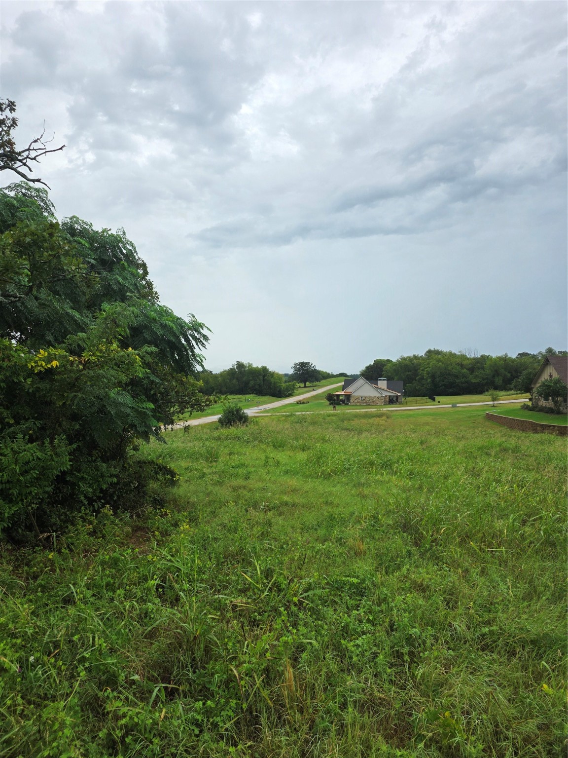Lot 113 Shore Crest Way Athens TX 75752