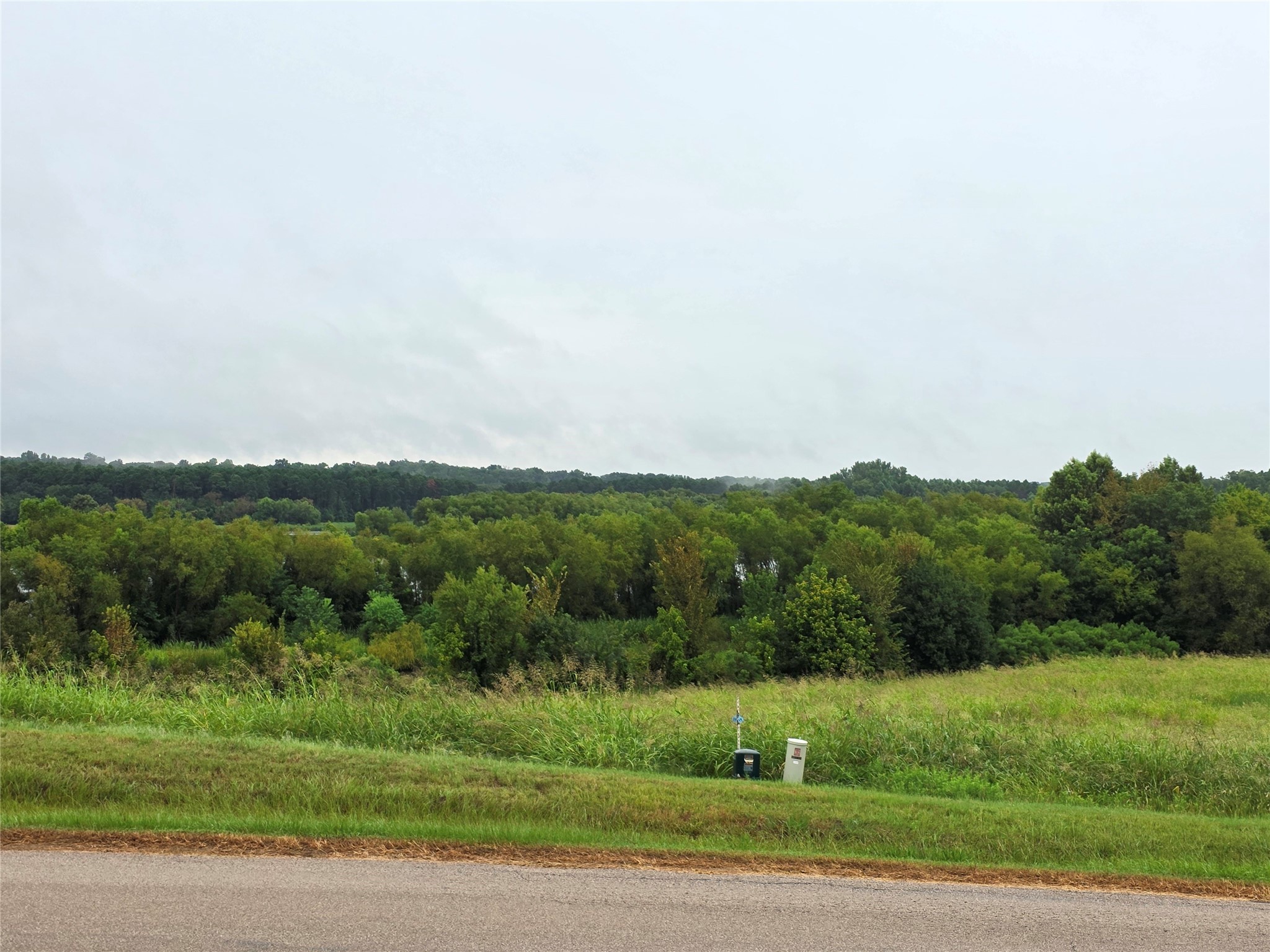 Lot 113 Shore Crest Way Athens TX 75752