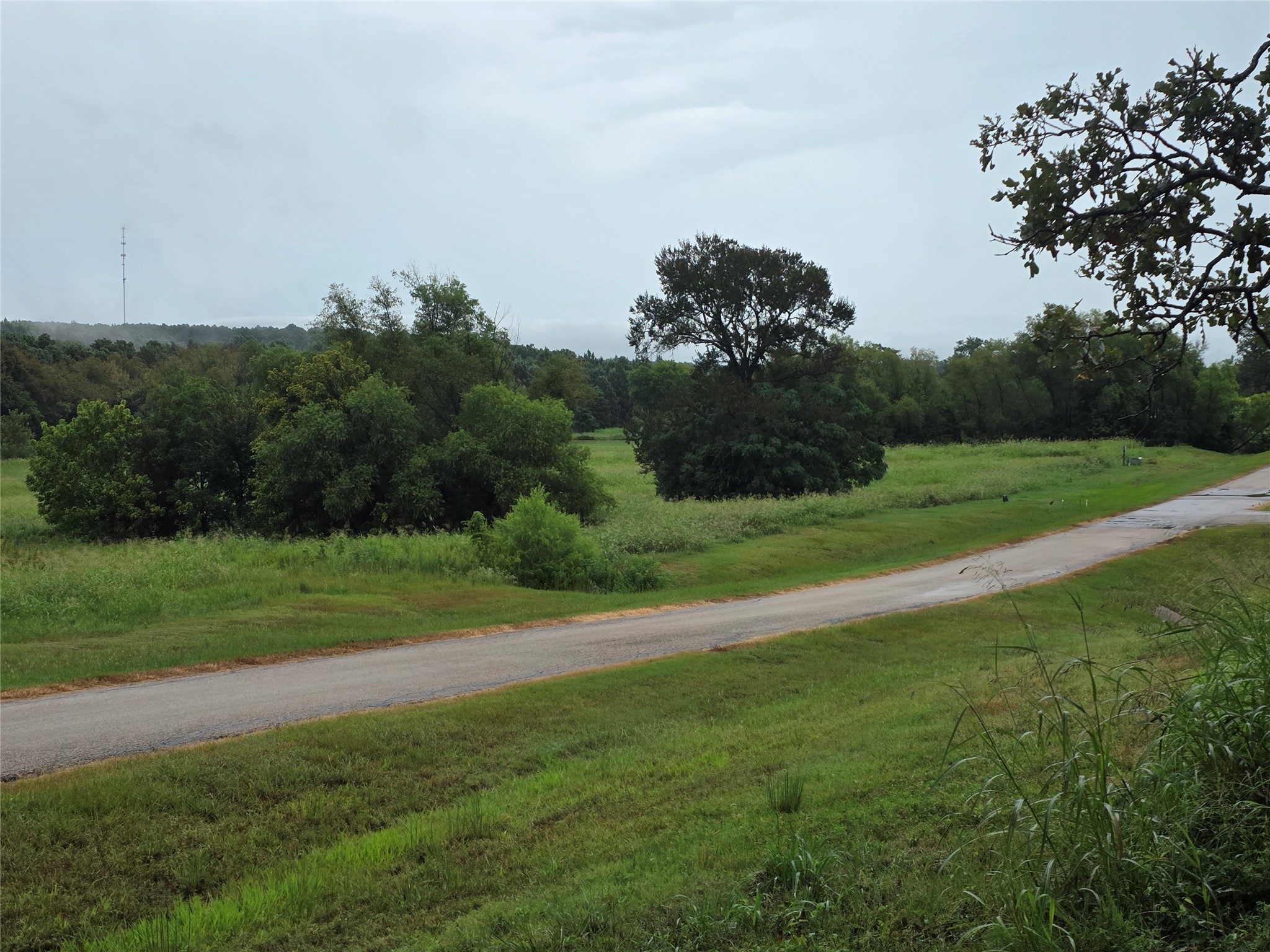 Lot 113 Shore Crest Way Athens TX 75752