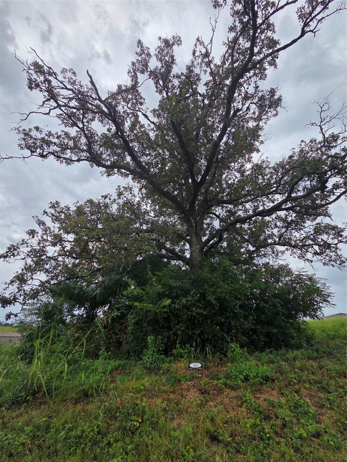 Lot 113 Shore Crest Way Athens TX 75752