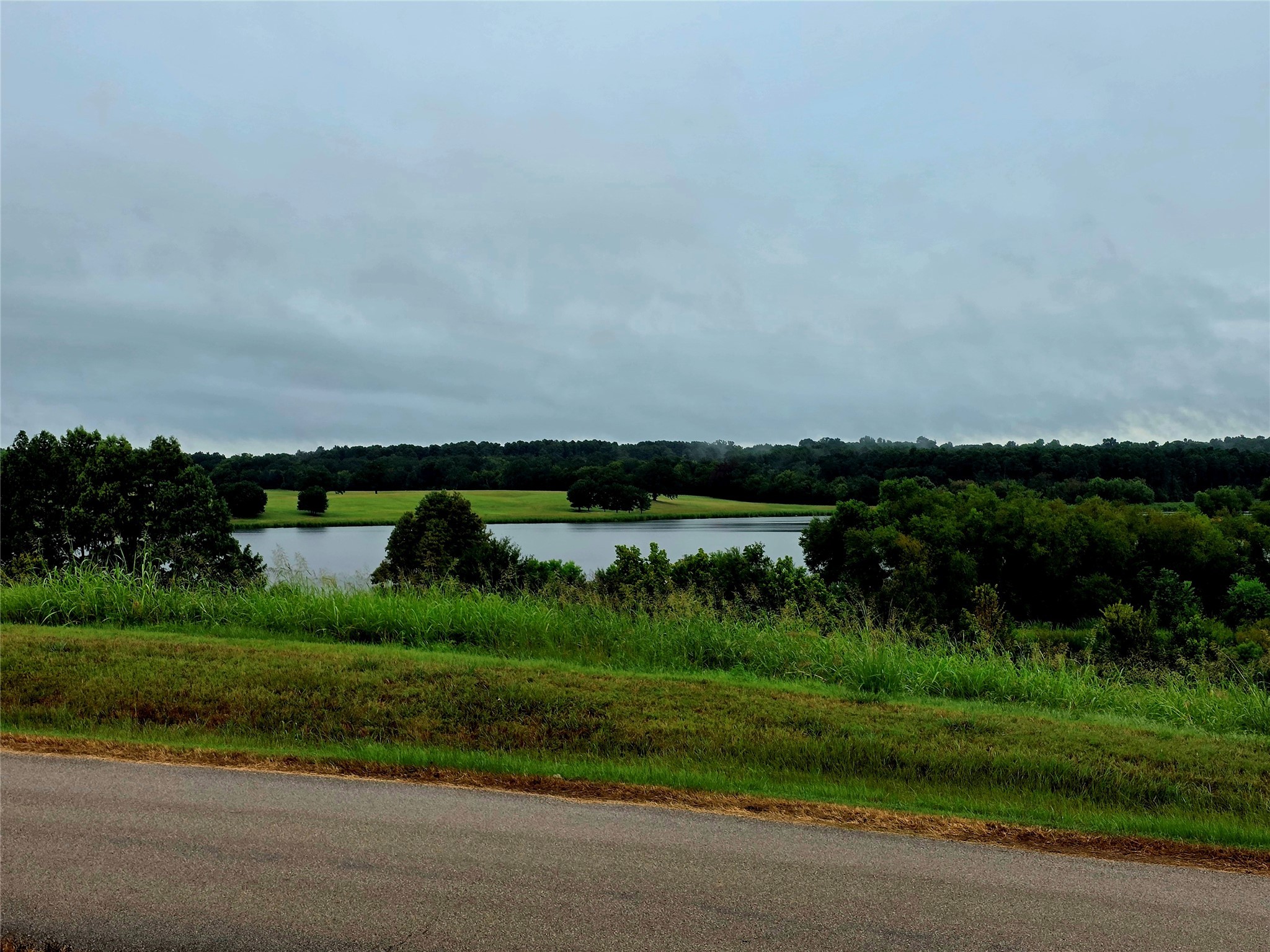 Lot 113 Shore Crest Way Athens TX 75752