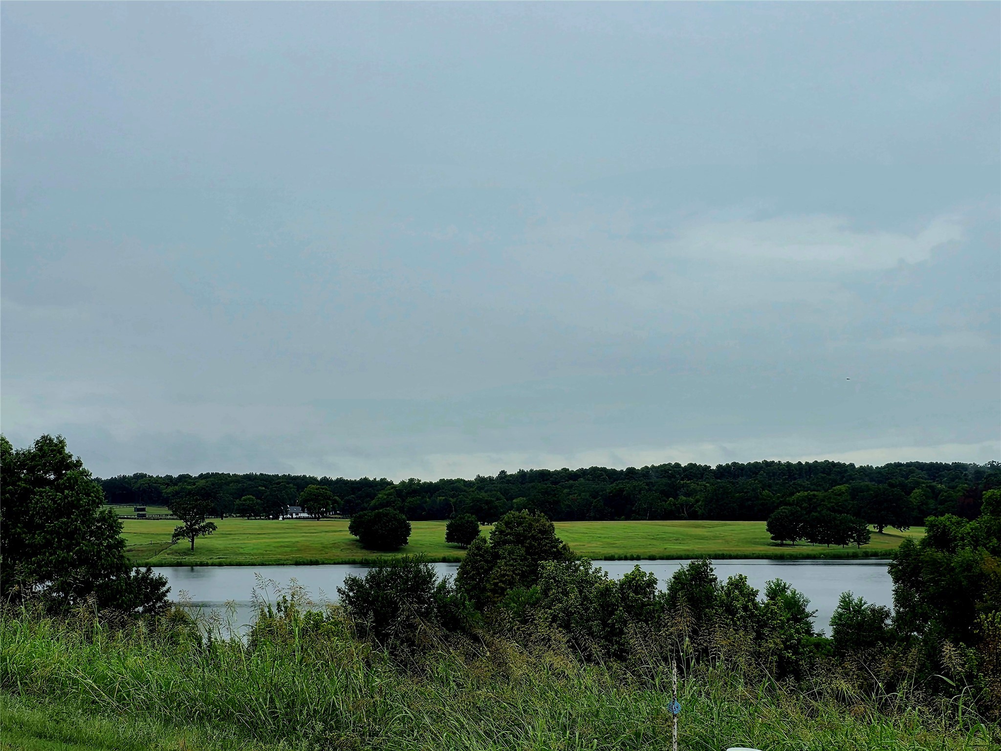 Lot 113 Shore Crest Way Athens TX 75752