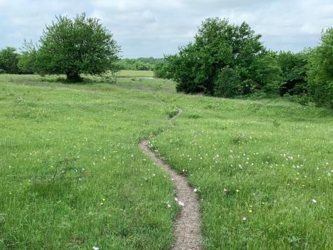 15674 Fm 981 Blue Ridge TX 75424