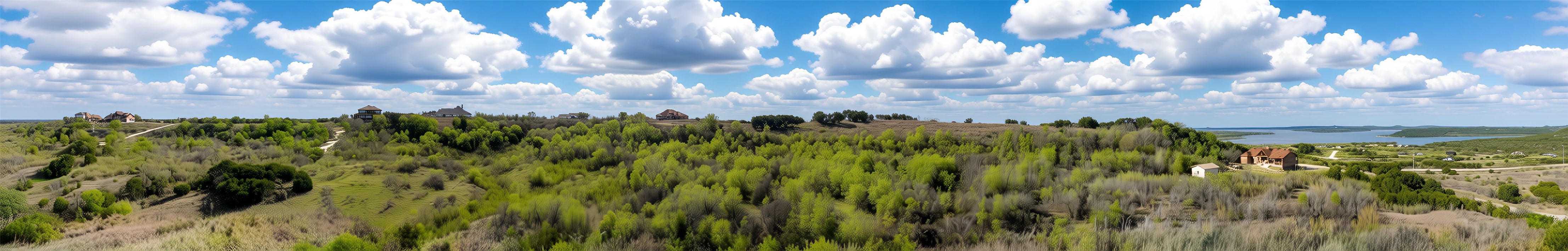 1620 Canyon Wren Loop Graford TX 76449
