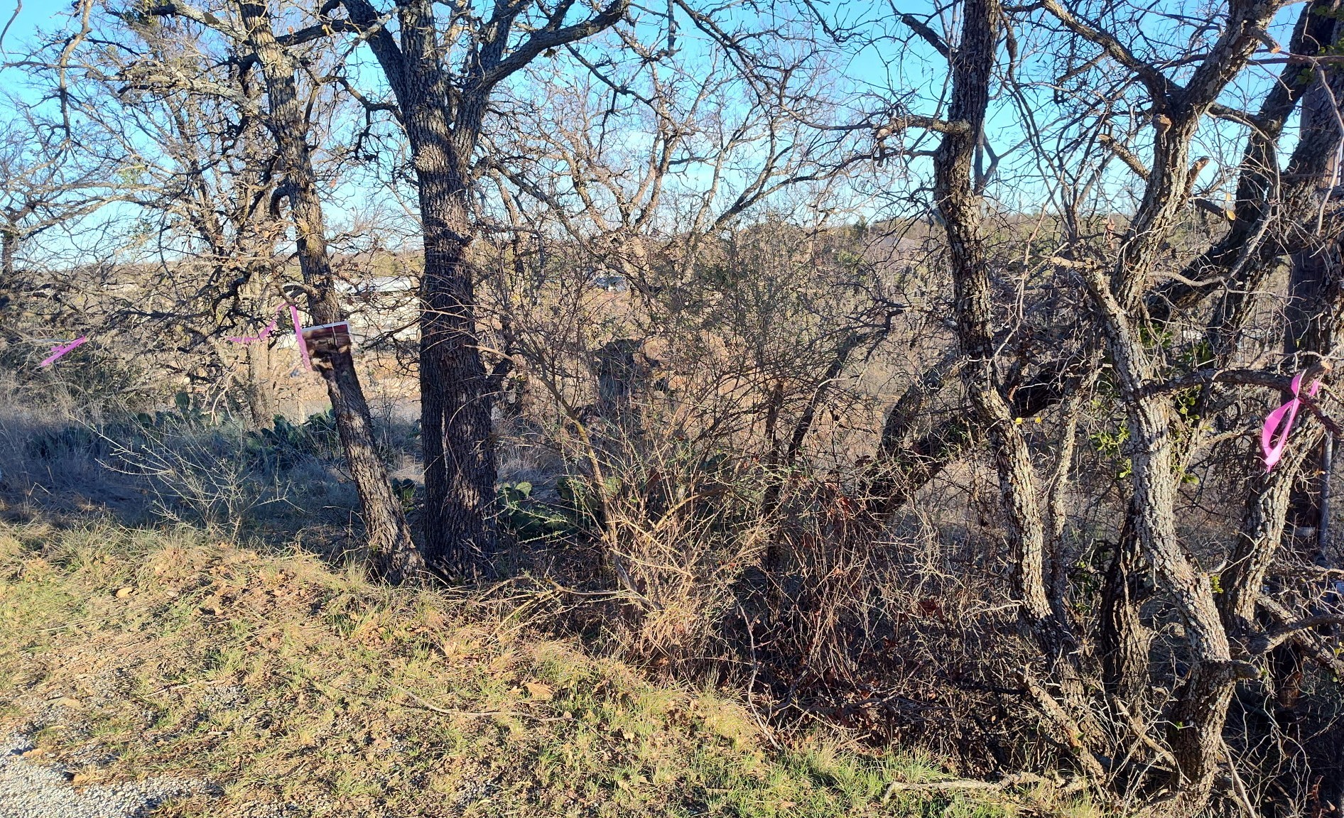 56 Brook Valley Drive May TX 76857