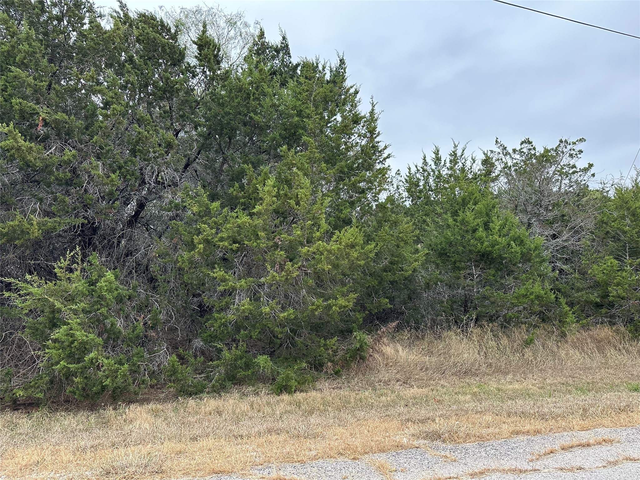 43164 Thistle Trail Whitney TX 76692