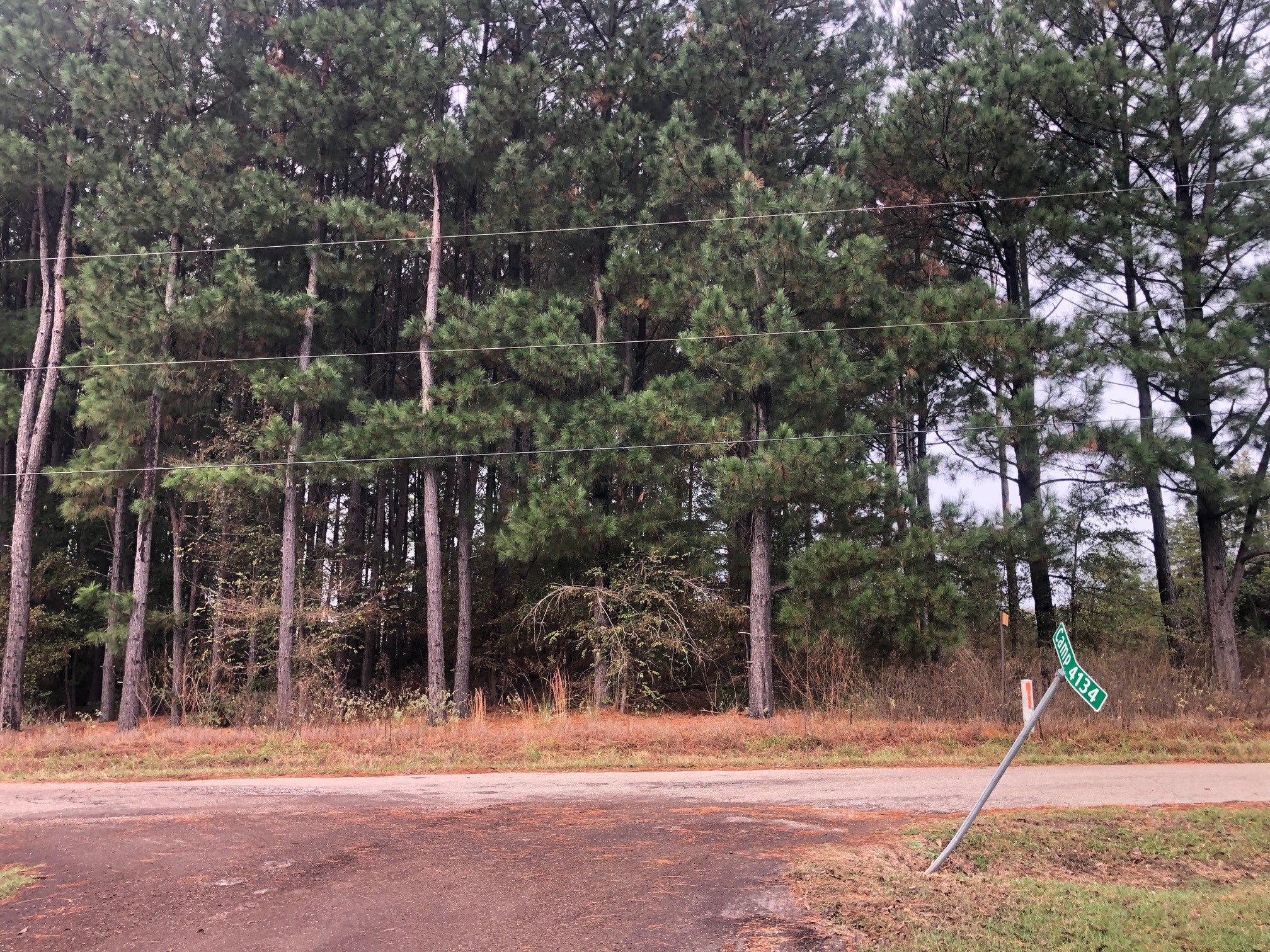 Tbd County Road 4130 Pittsburg TX 75686