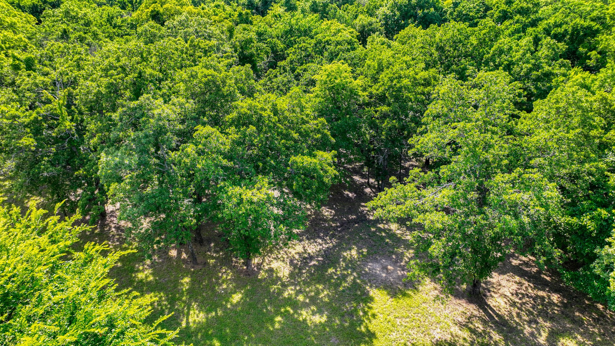 315 Arborview Drive Weatherford TX 76088