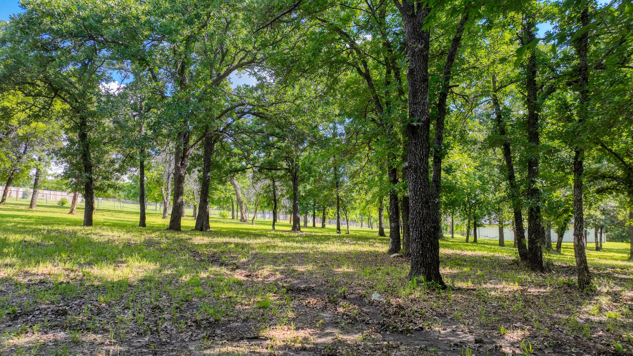315 Arborview Drive Weatherford TX 76088