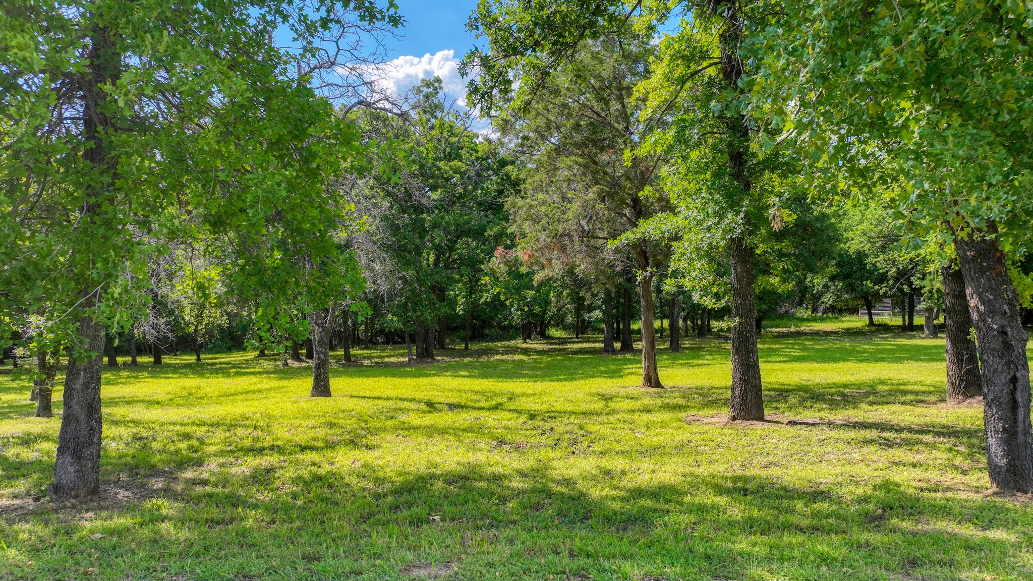 315 Arborview Drive Weatherford TX 76088