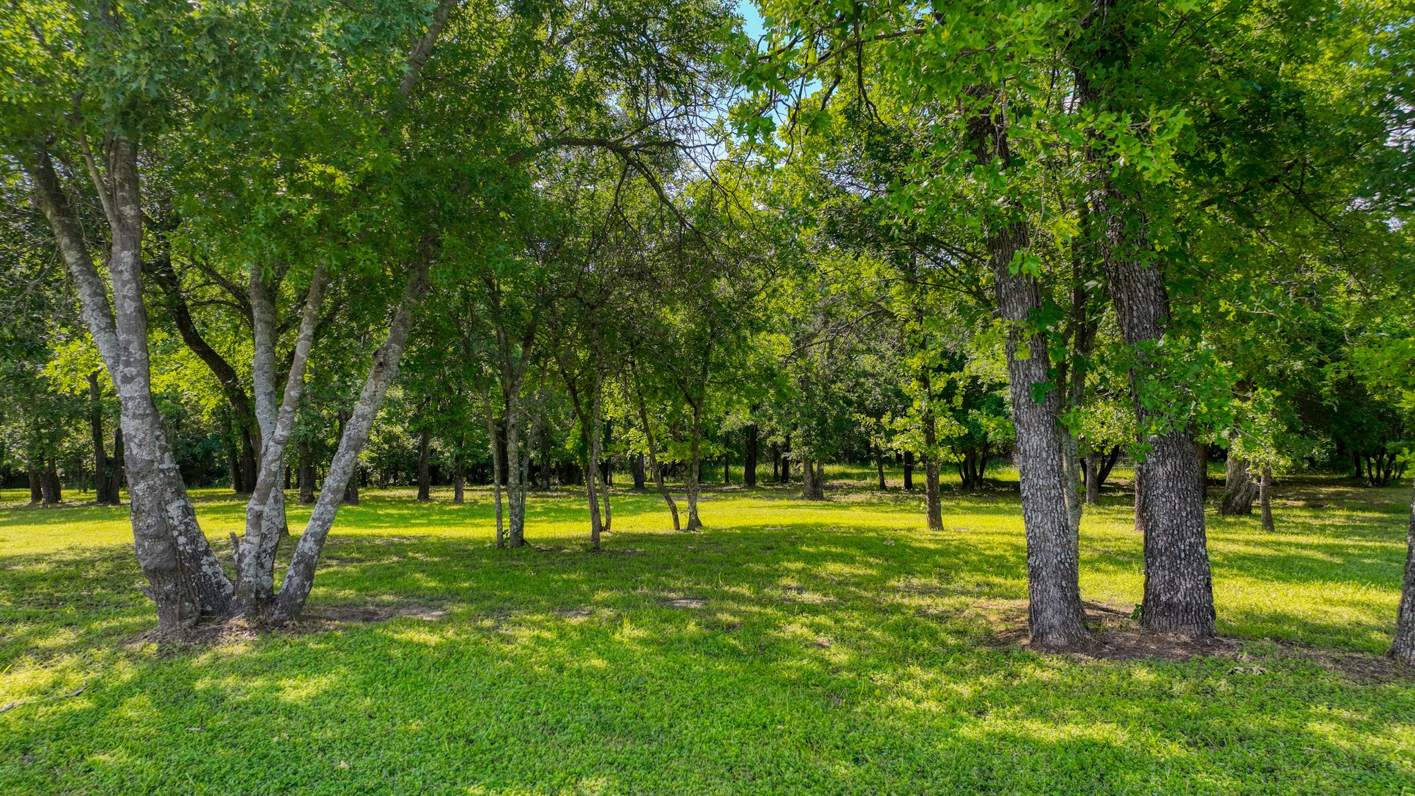 315 Arborview Drive Weatherford TX 76088