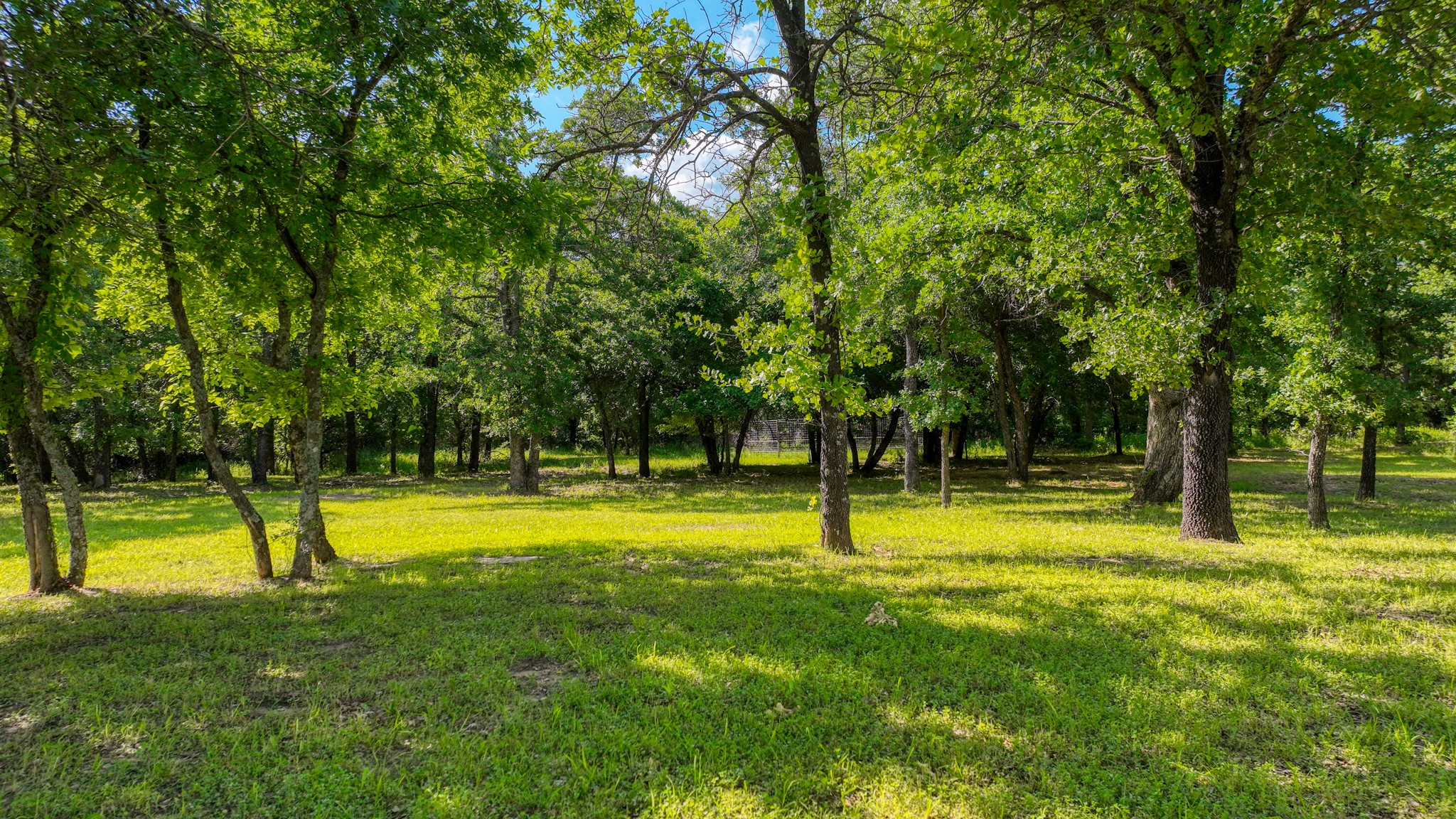 315 Arborview Drive Weatherford TX 76088