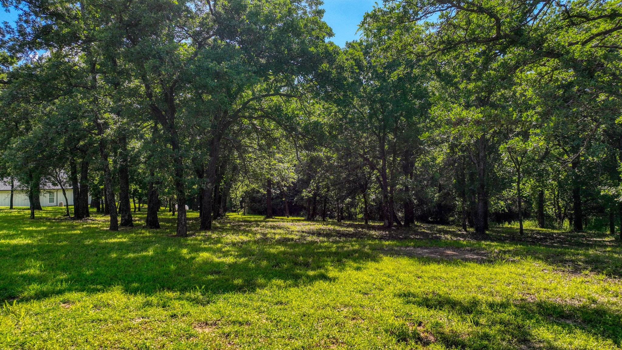 315 Arborview Drive Weatherford TX 76088