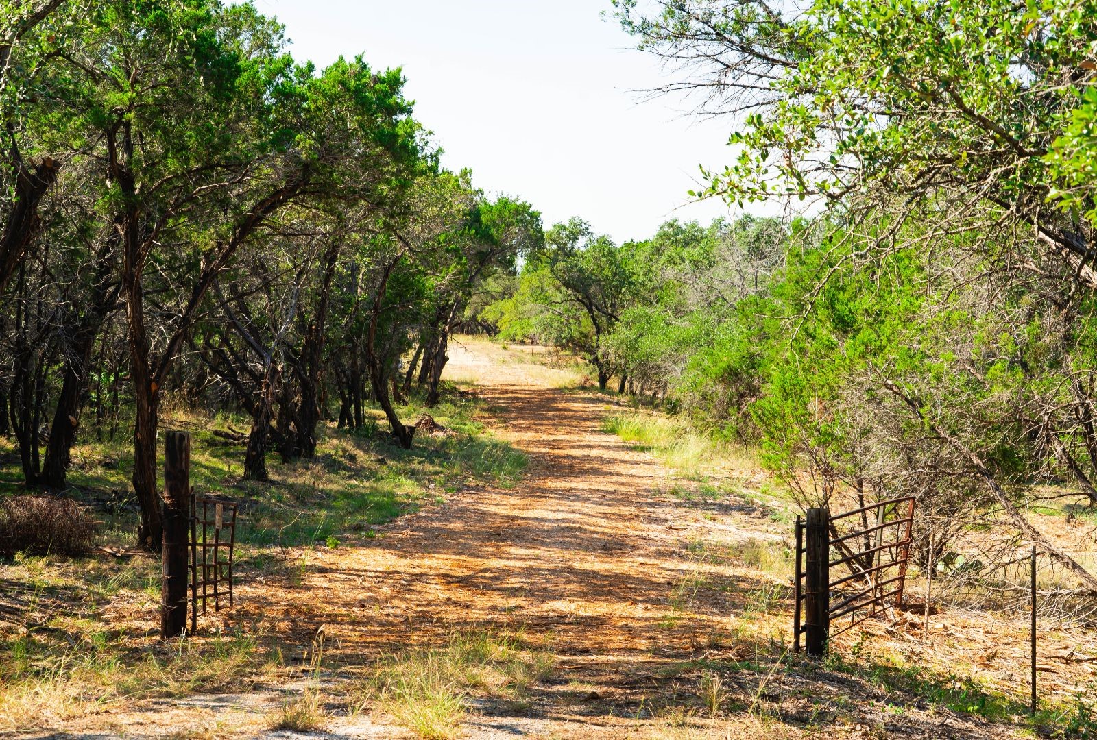 0 Old Ferry Road Spicewood TX 78669