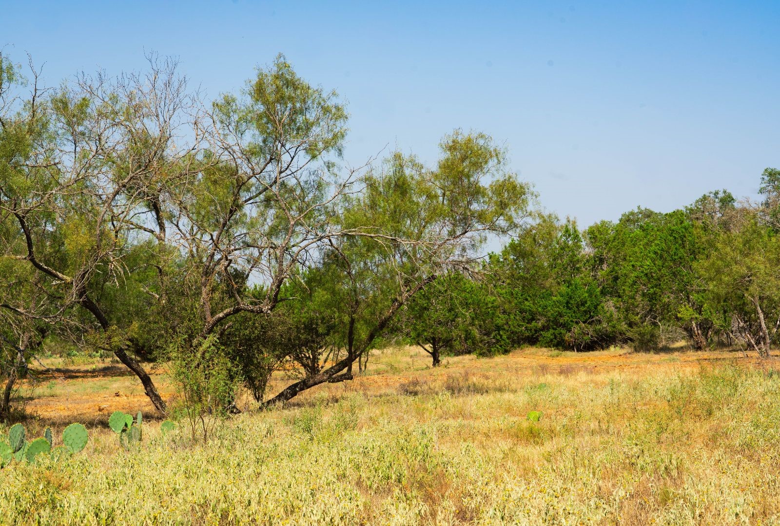0 Old Ferry Road Spicewood TX 78669