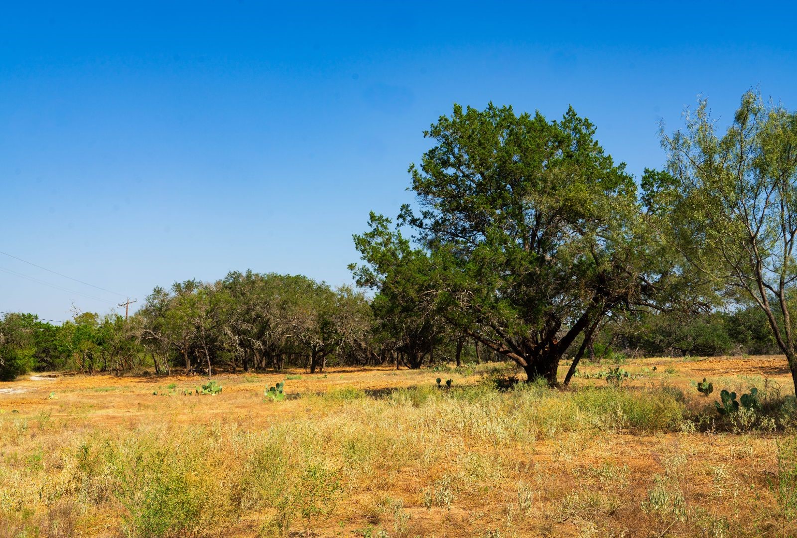 0 Old Ferry Road Spicewood TX 78669