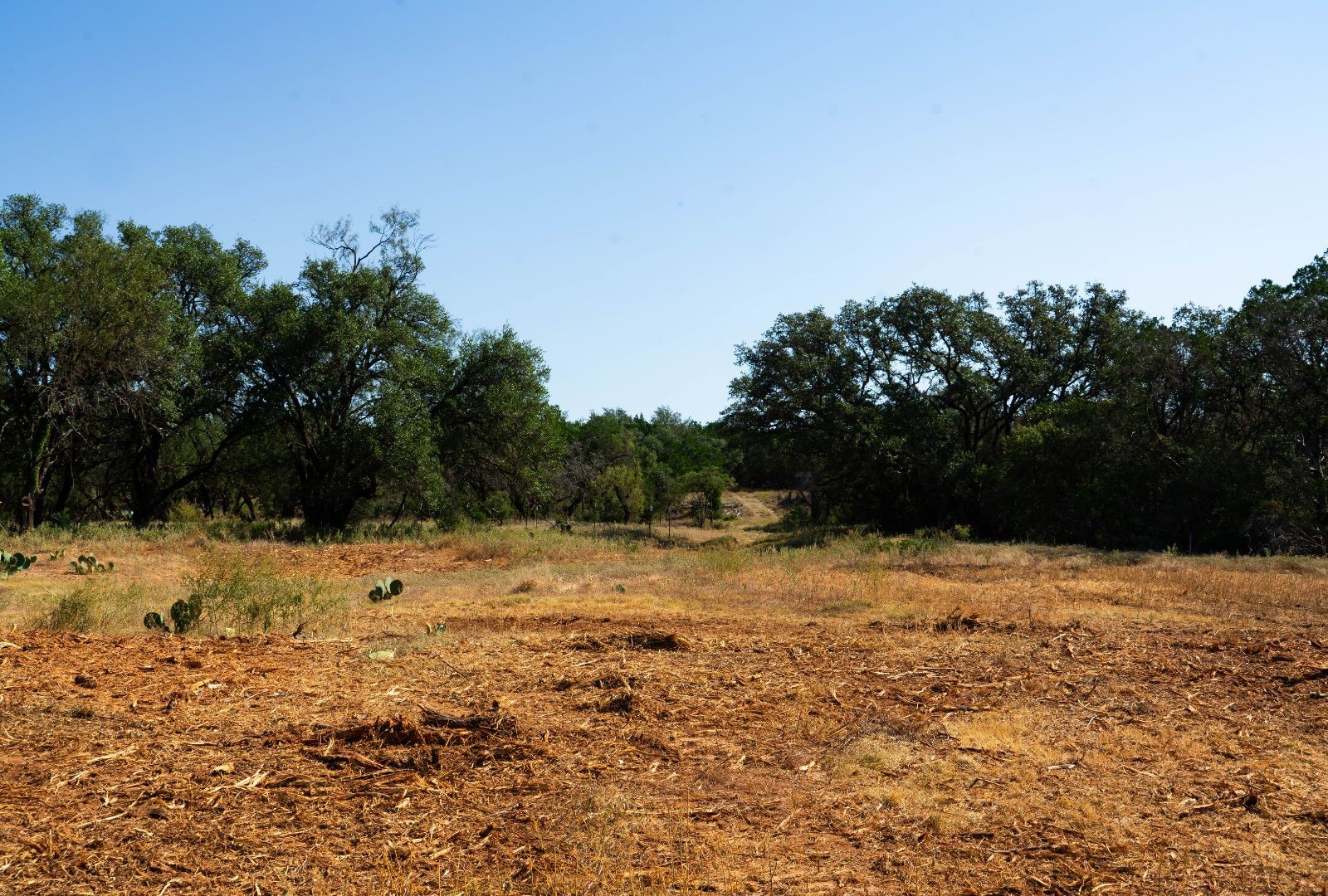 0 Old Ferry Road Spicewood TX 78669