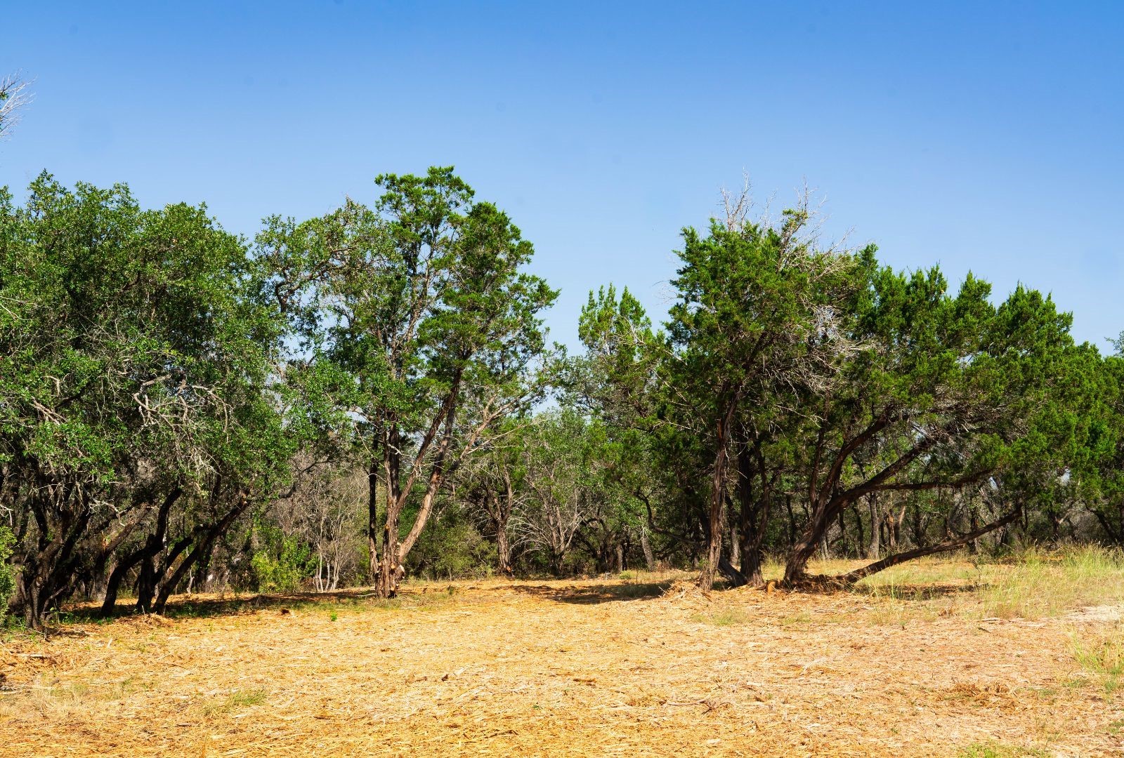 0 Old Ferry Road Spicewood TX 78669