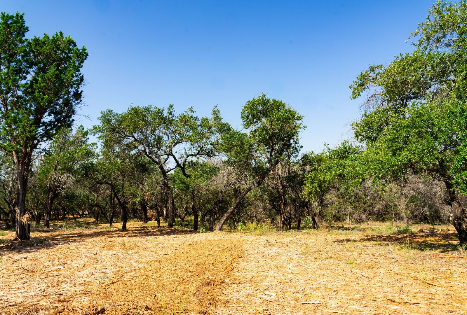 0 Old Ferry Road Spicewood TX 78669