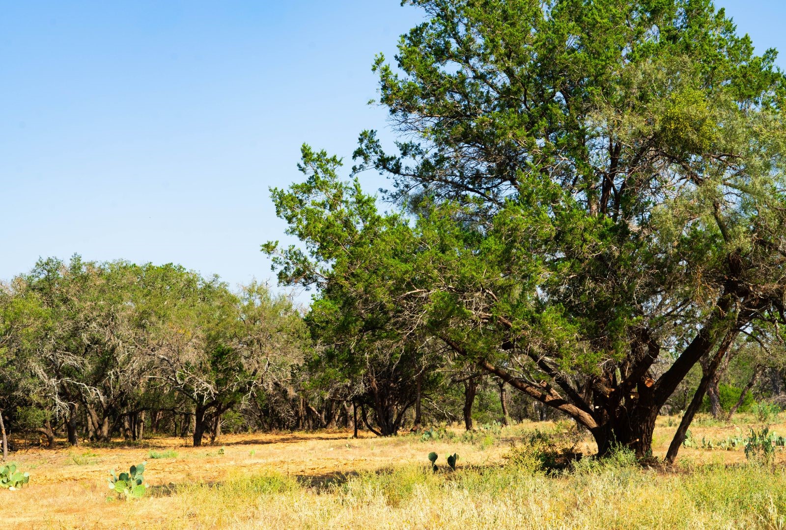 0 Old Ferry Road Spicewood TX 78669