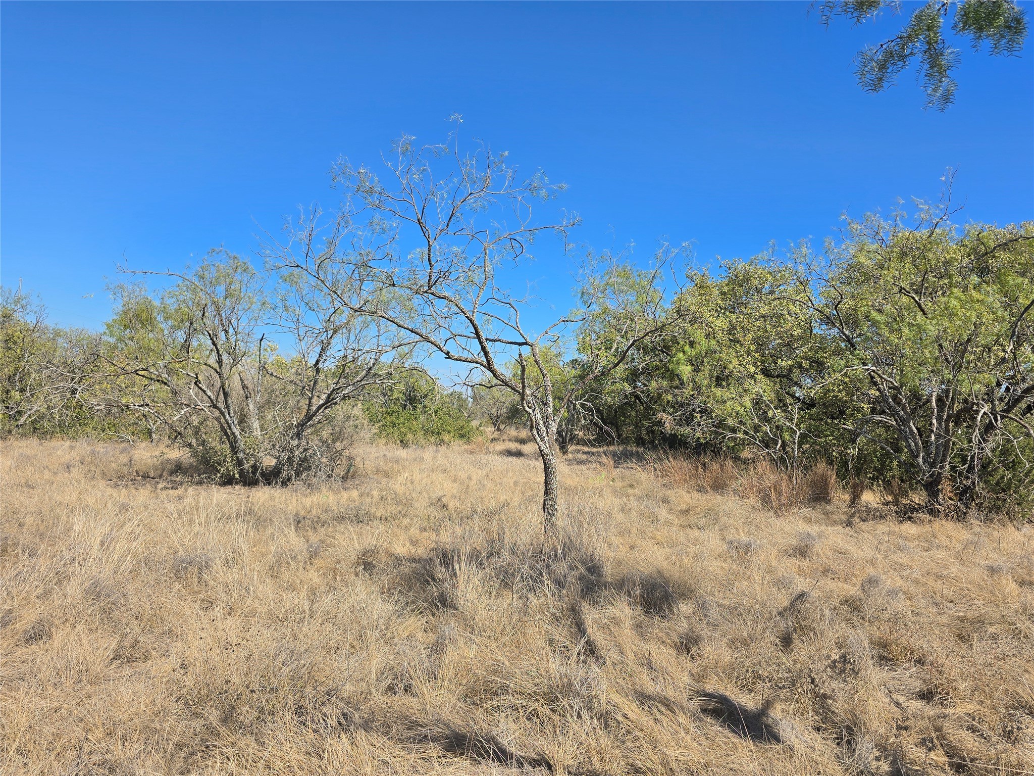 Tbd Cr 108 Santa Anna TX 76878