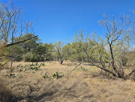 Tbd Cr 108 Santa Anna TX 76878