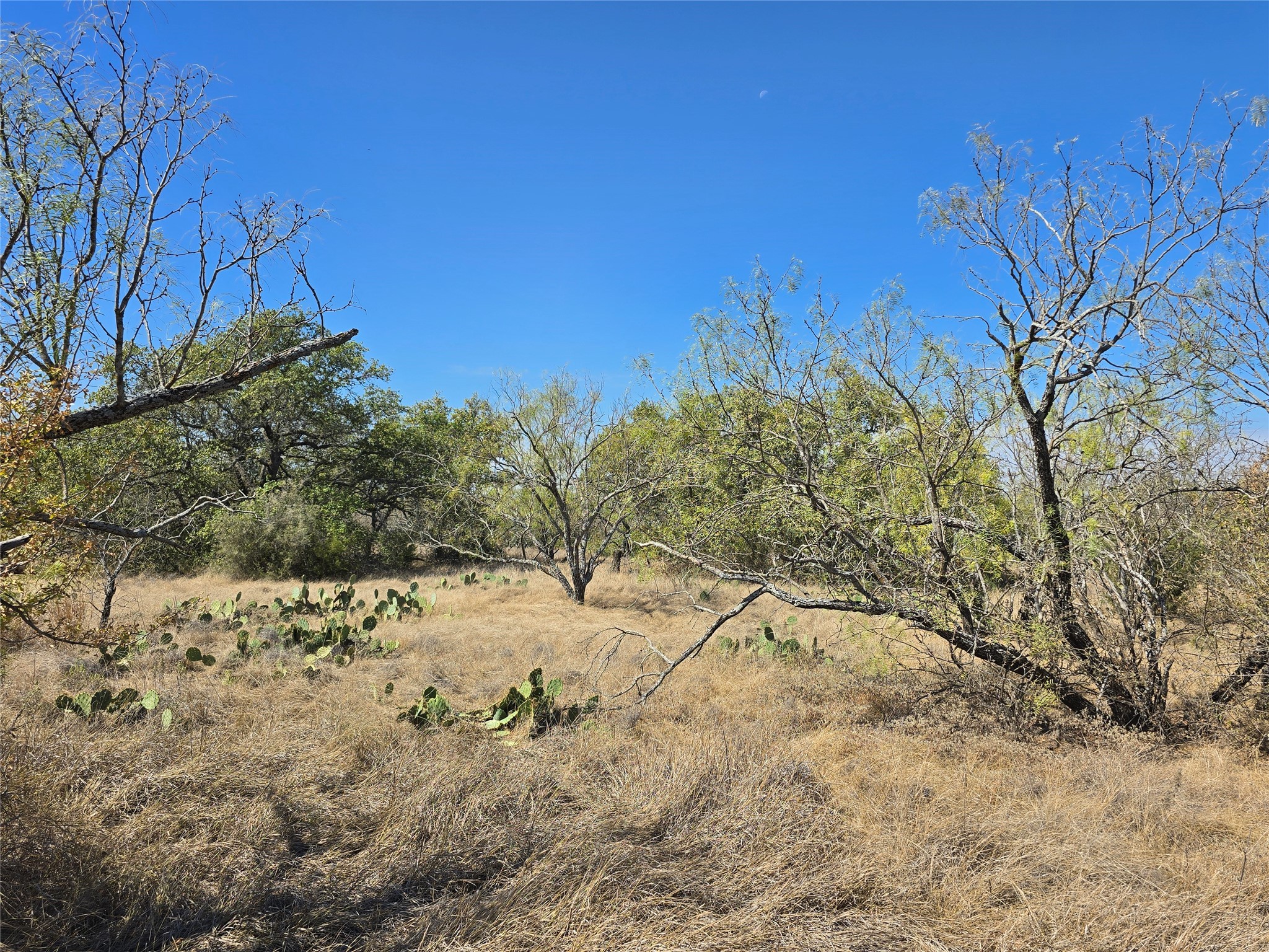 Tbd Cr 108 Santa Anna TX 76878