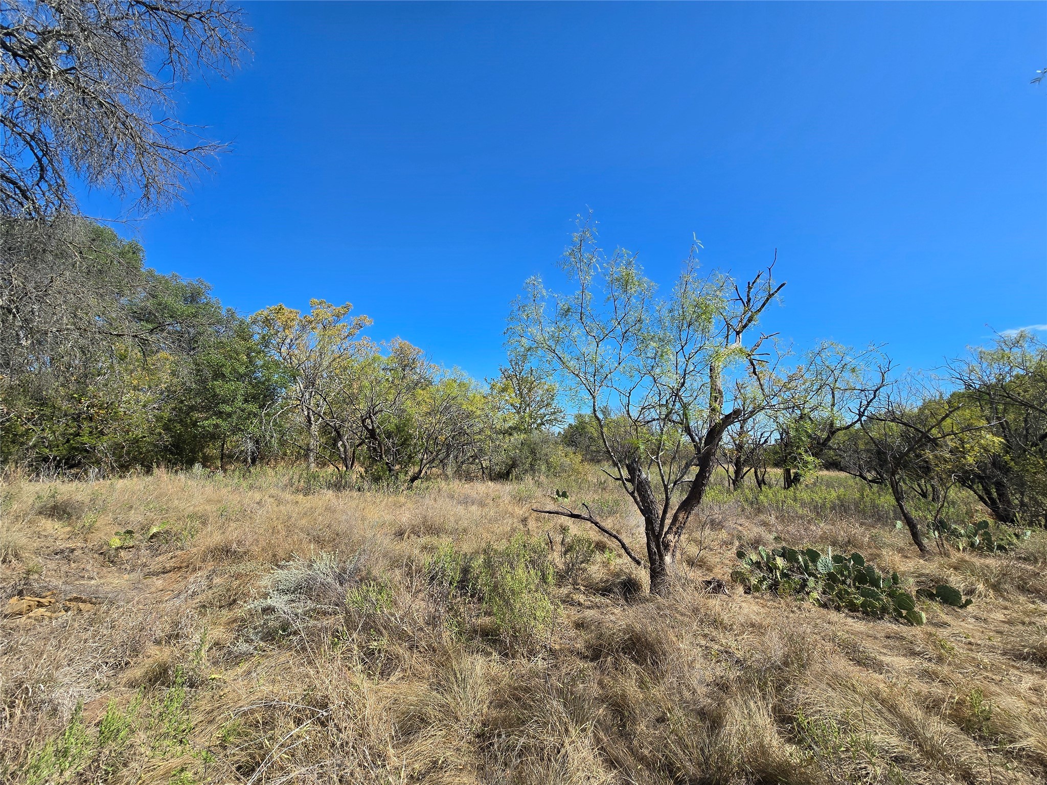 Tbd Cr 108 Santa Anna TX 76878