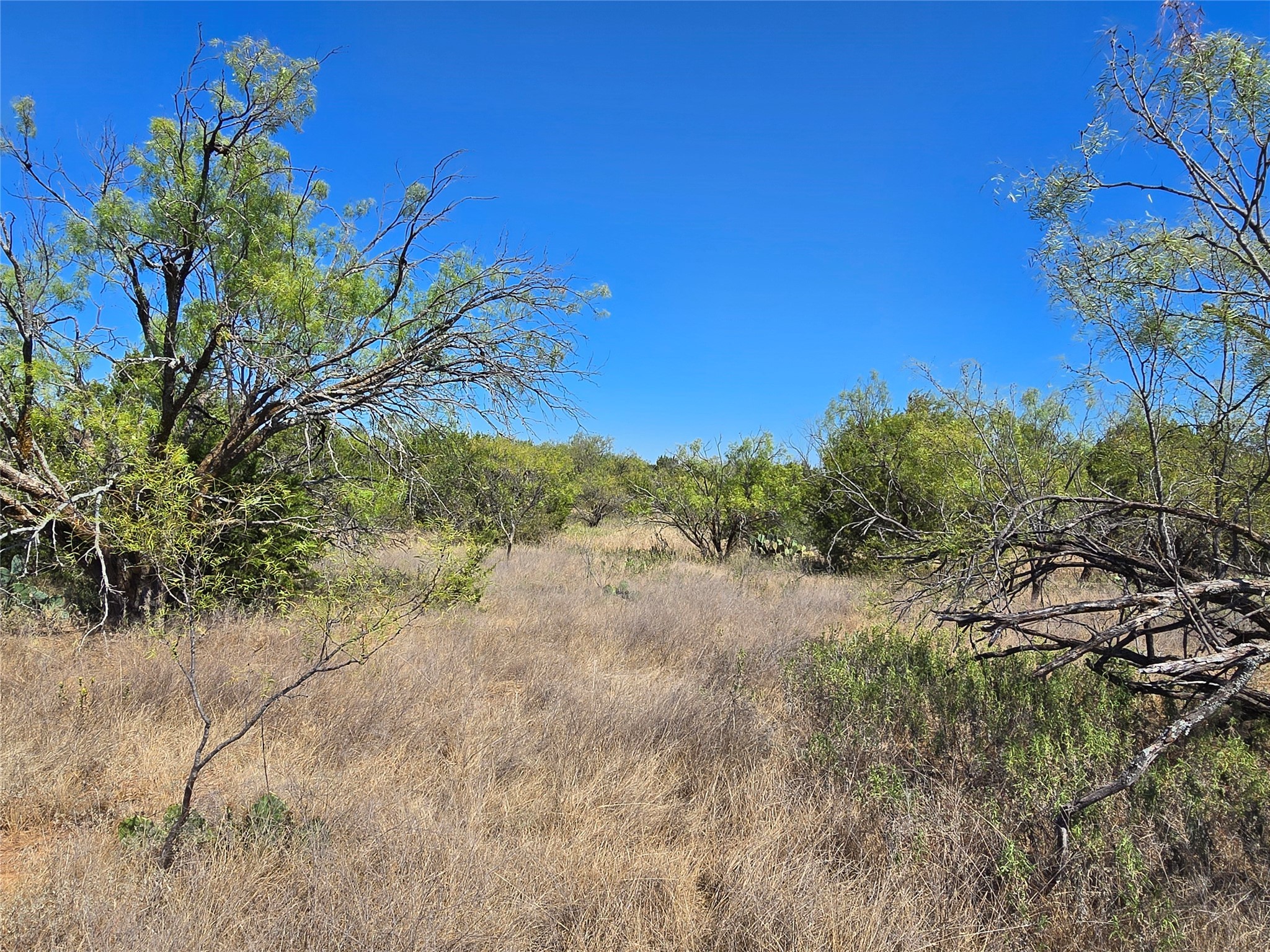 Tbd Cr 108 Santa Anna TX 76878