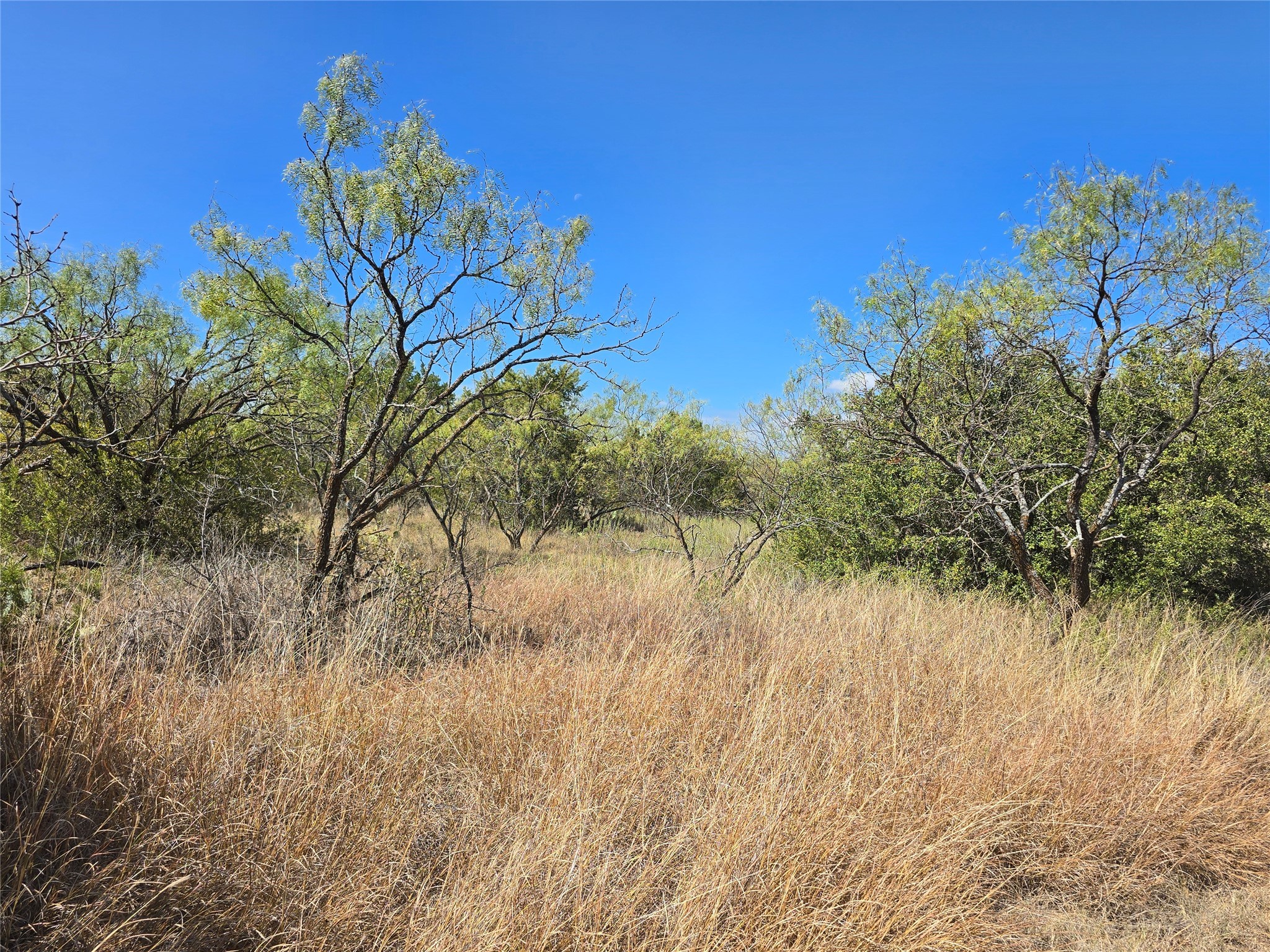 Tbd Cr 108 Santa Anna TX 76878