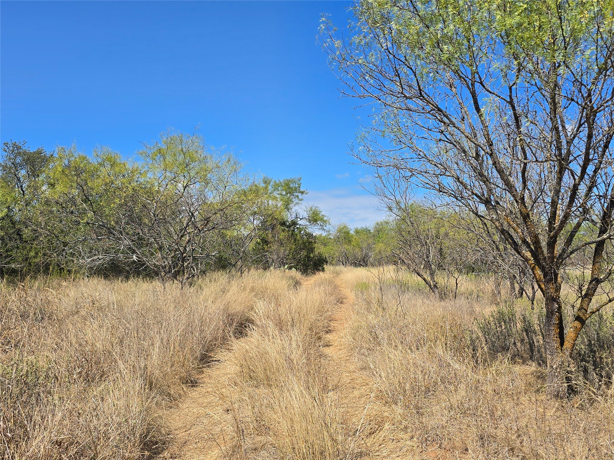 Tbd Cr 108 Santa Anna TX 76878