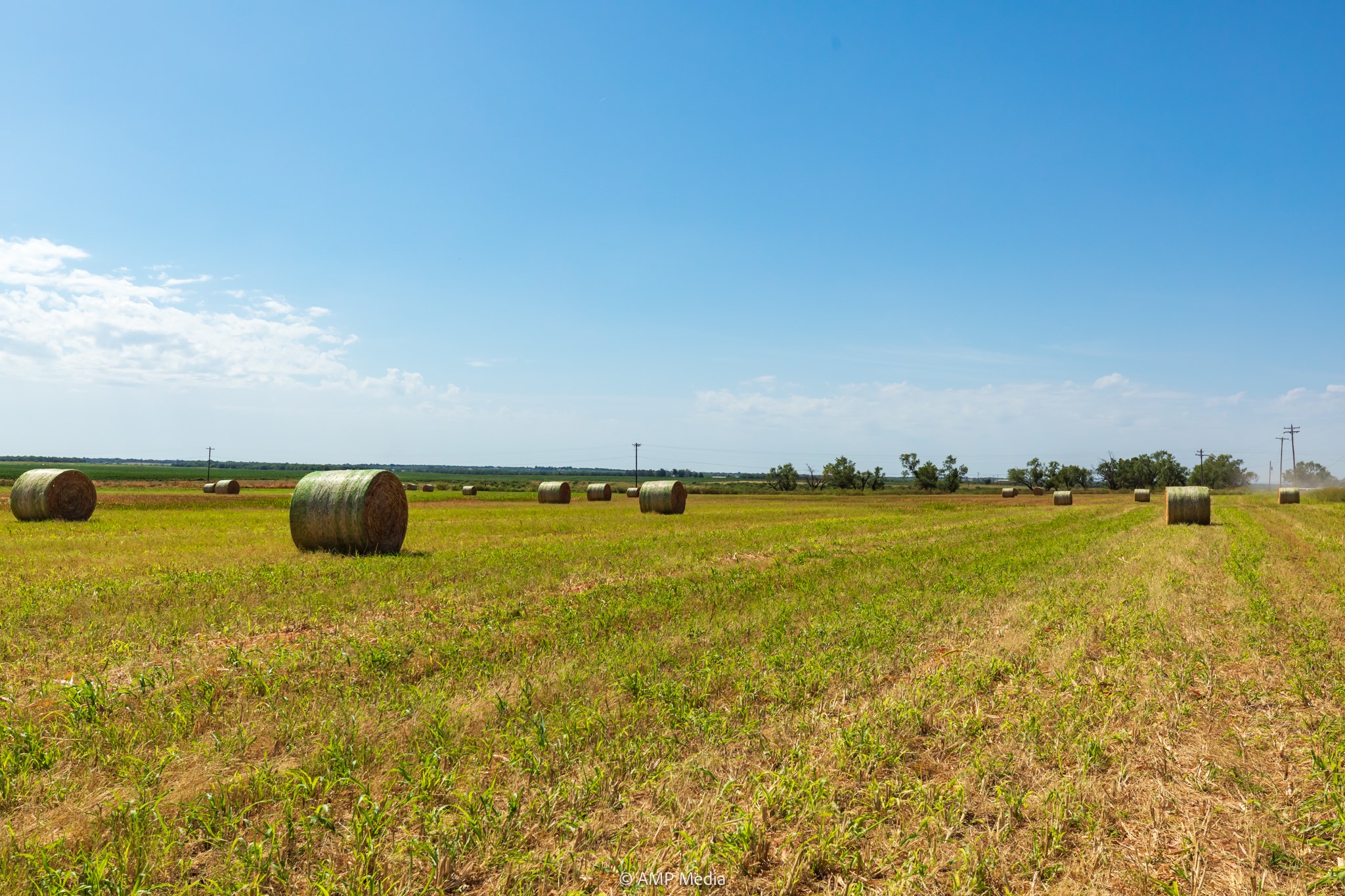 Tbd Fm 2746 Anson TX 79501