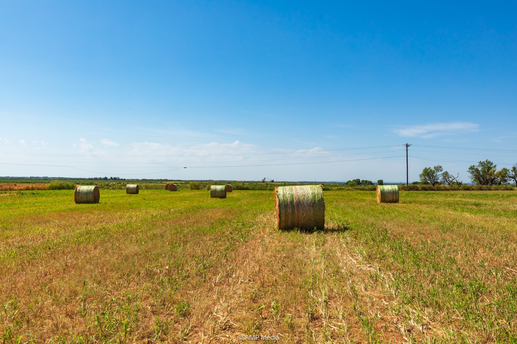 Tbd Fm 2746 Anson TX 79501