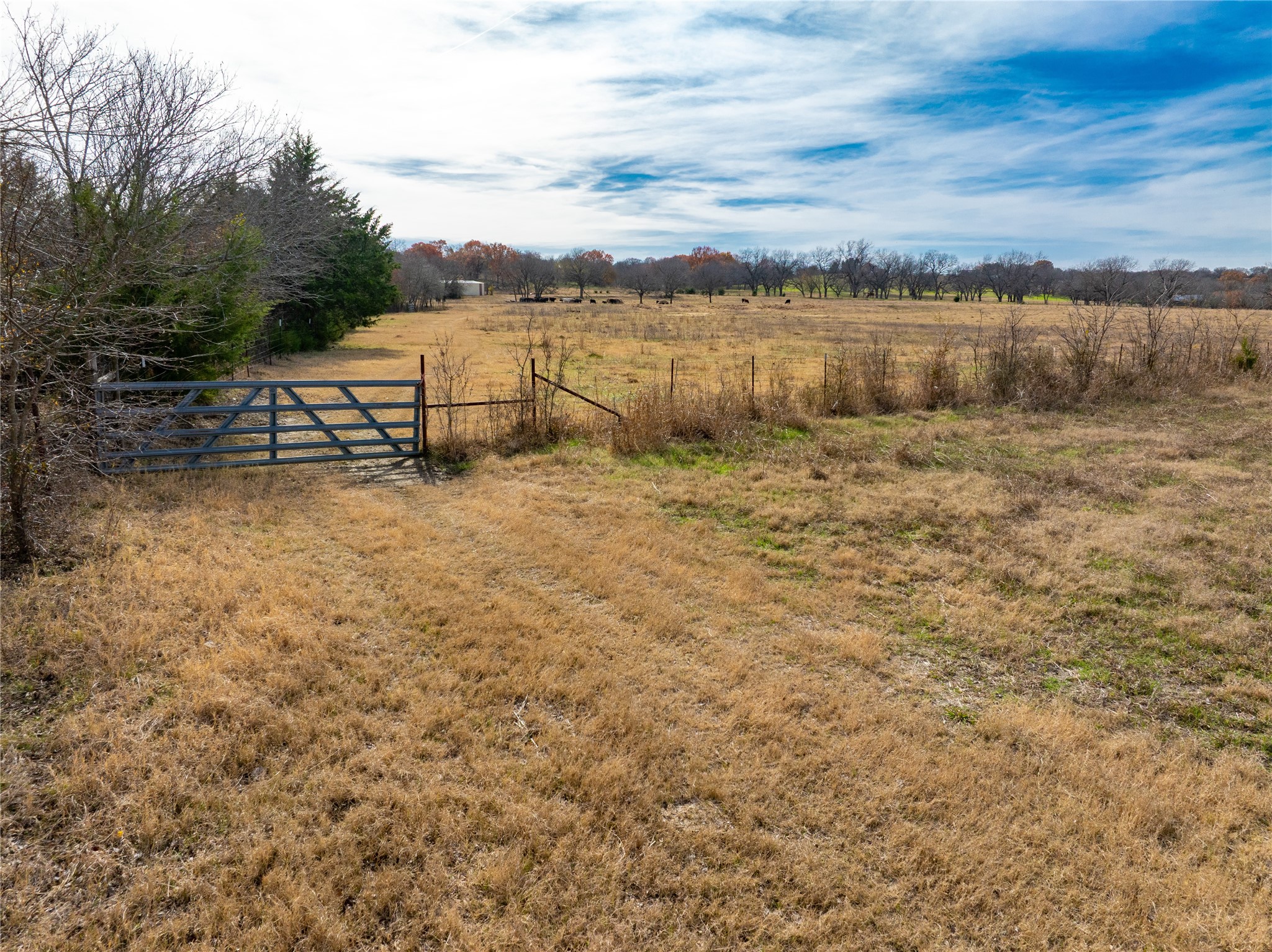 000 Fm 660 Bristol TX 75119