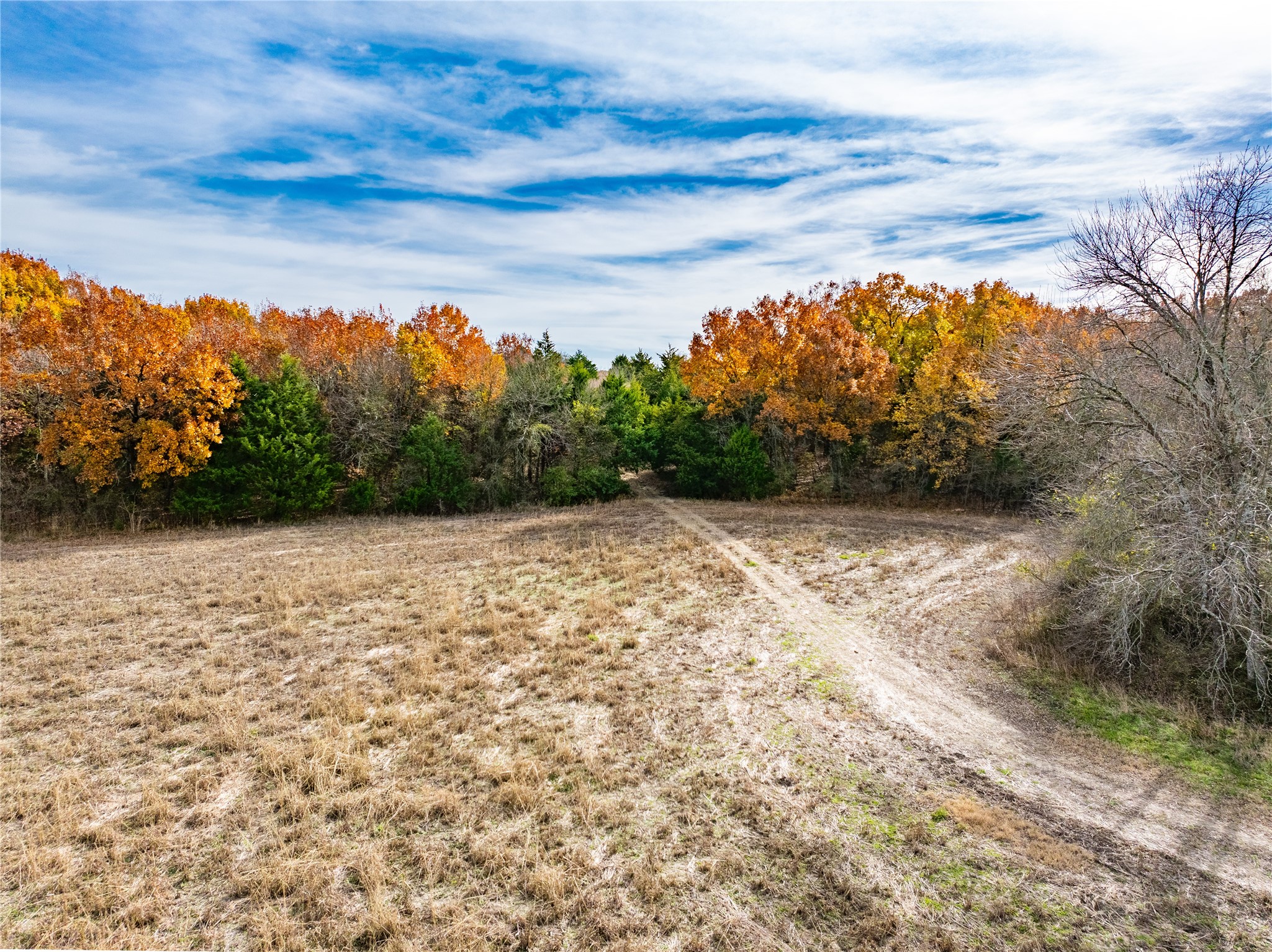 000 Fm 660 Bristol TX 75119