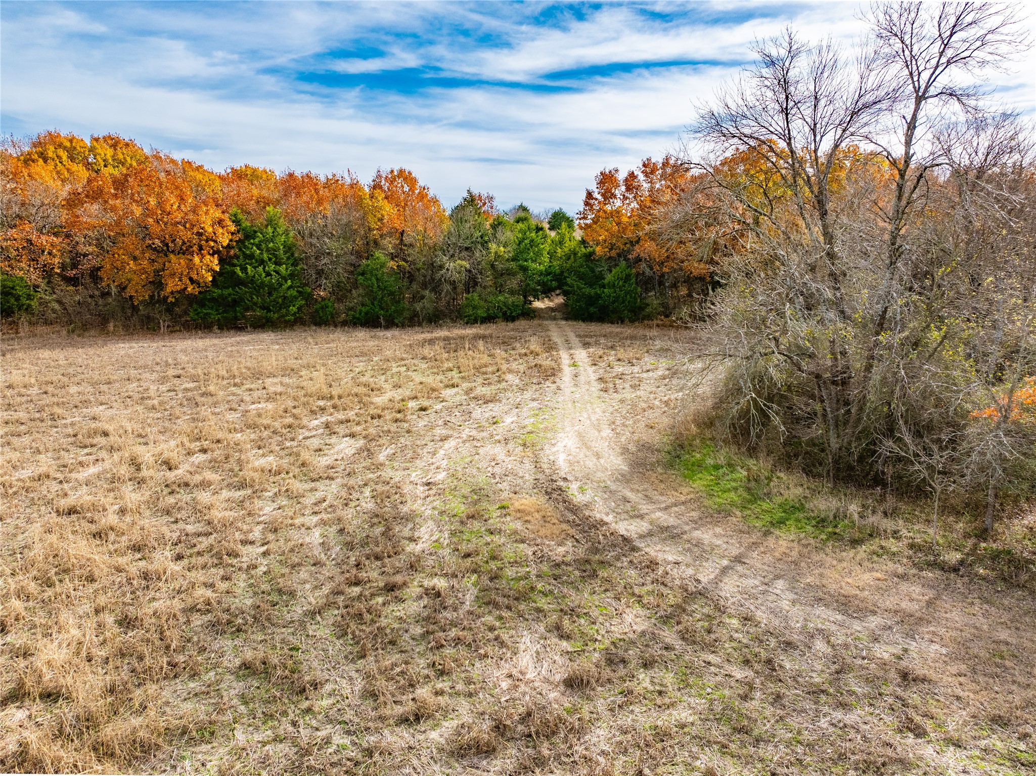 000 Fm 660 Bristol TX 75119