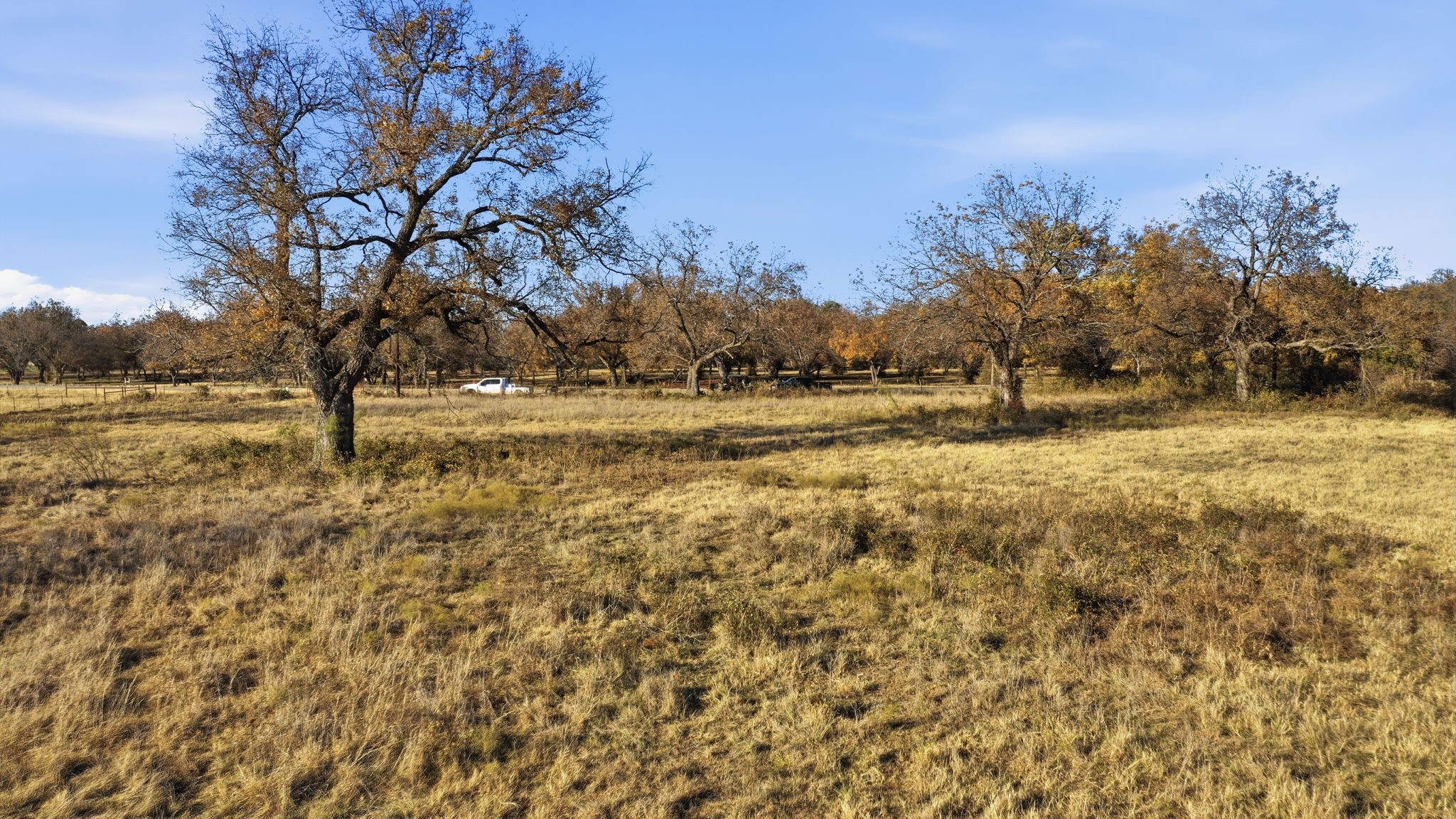11031 Brock Highway Lipan TX 76462
