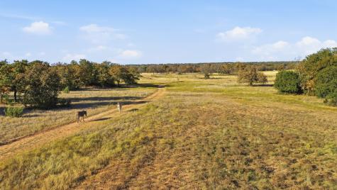 11031 Brock Highway Lipan TX 76462