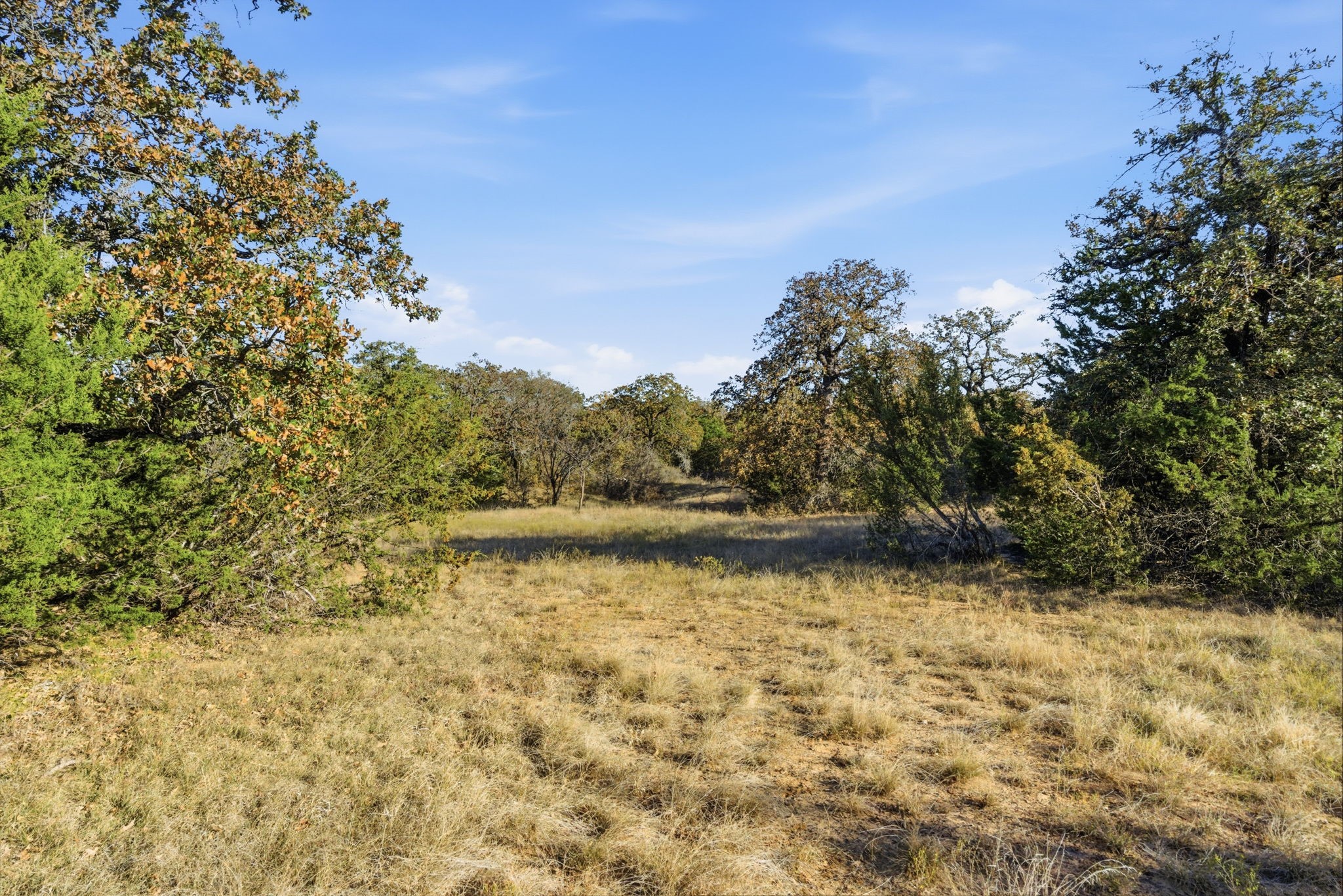 11031 Brock Highway Lipan TX 76462