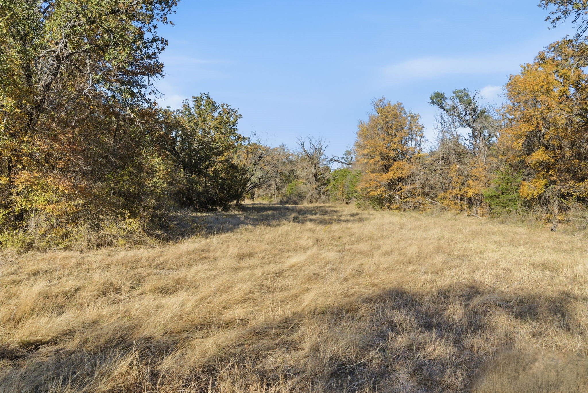 11031 Brock Highway Lipan TX 76462