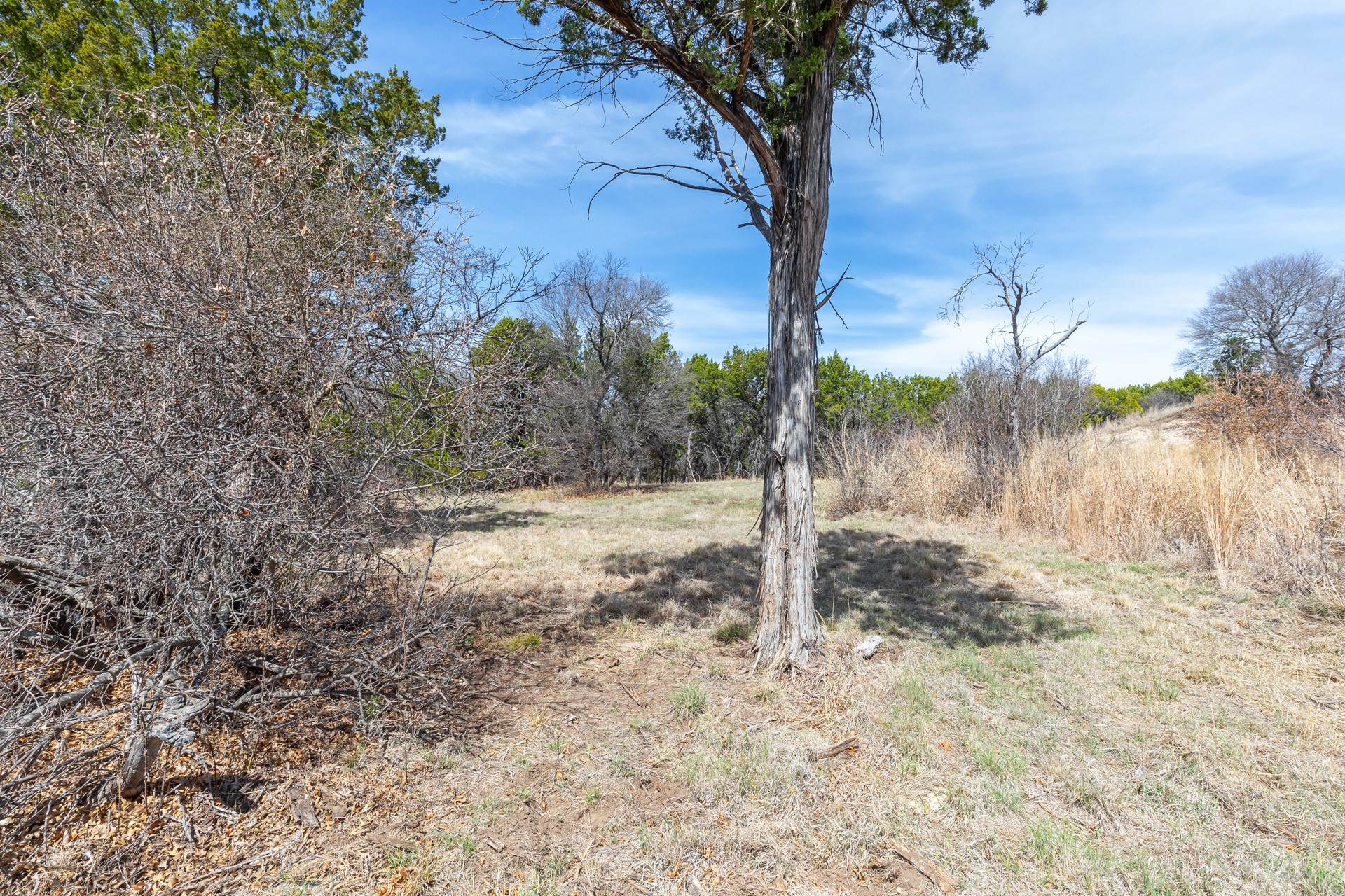 Tbd County Road 322 Tuscola TX 79562