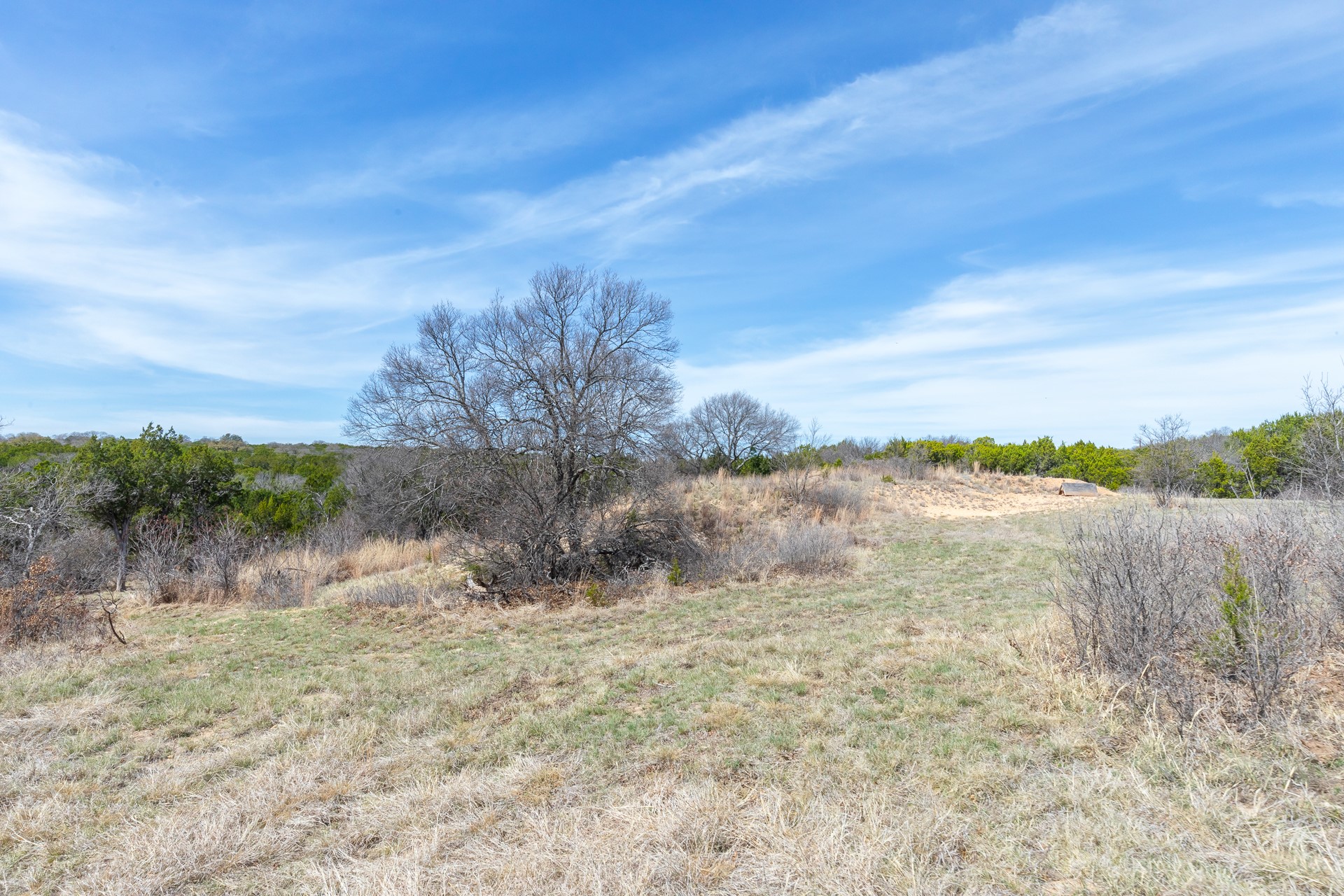 Tbd County Road 322 Tuscola TX 79562