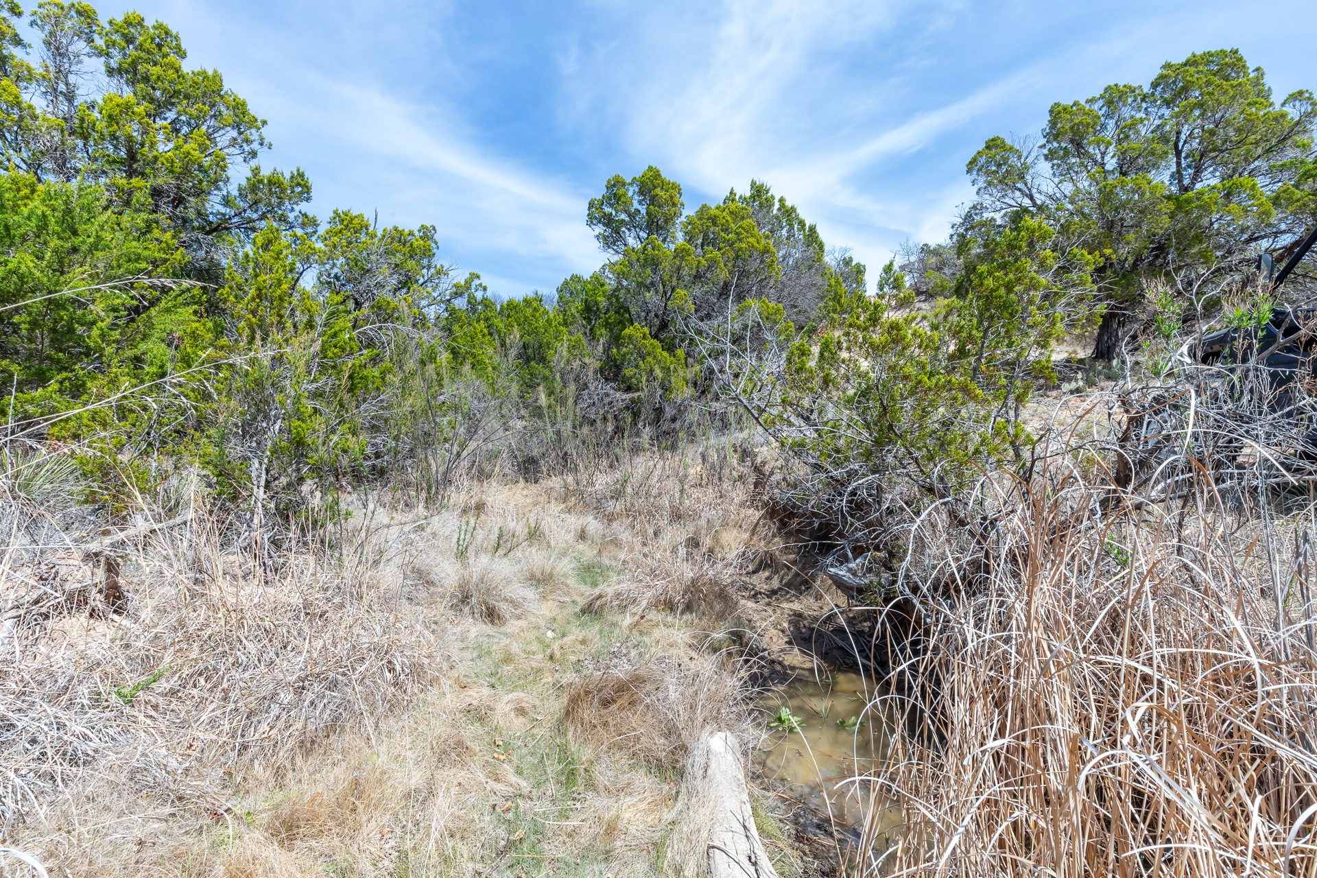 Tbd County Road 322 Tuscola TX 79562
