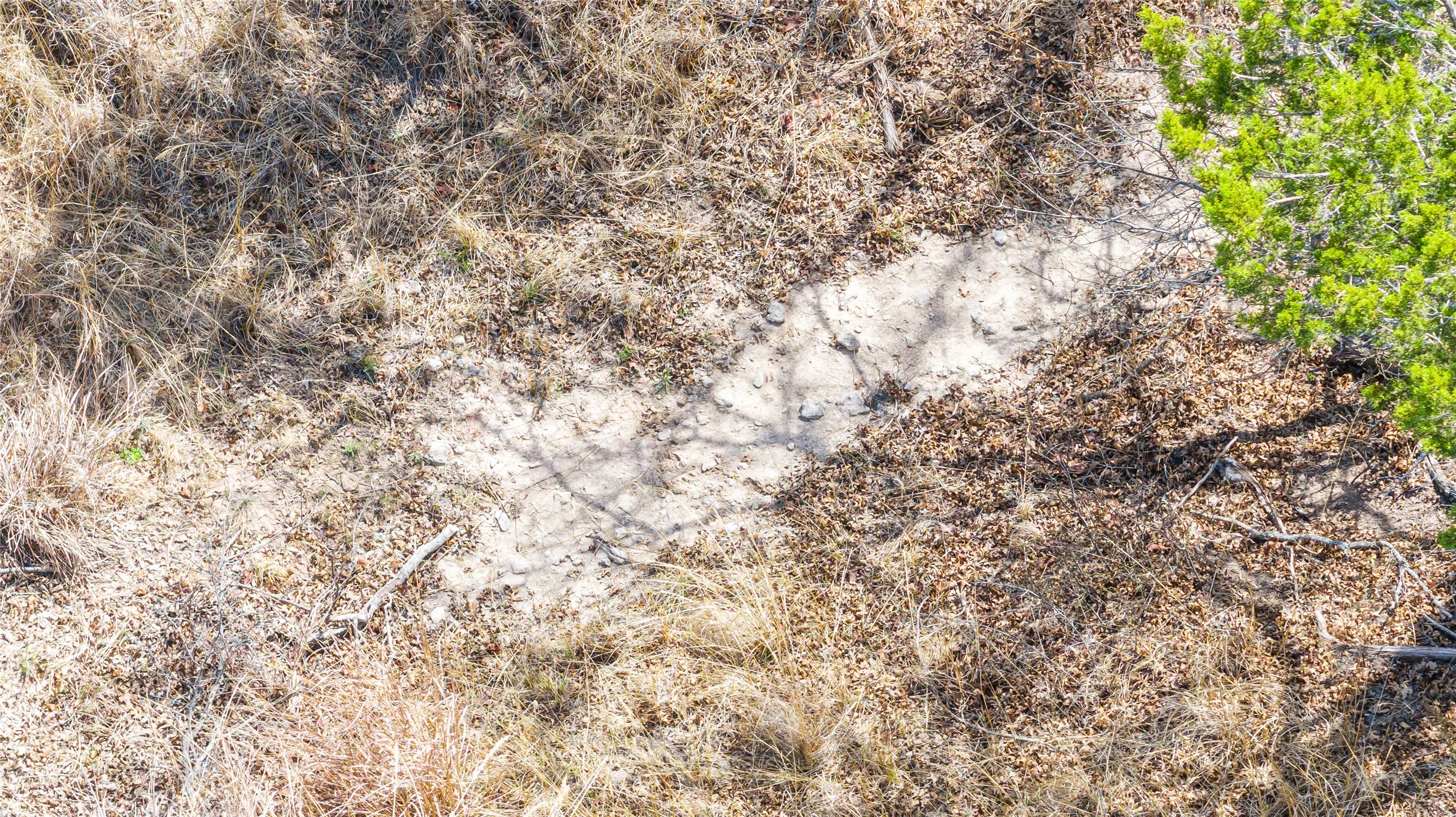 Tbd County Road 322 Tuscola TX 79562