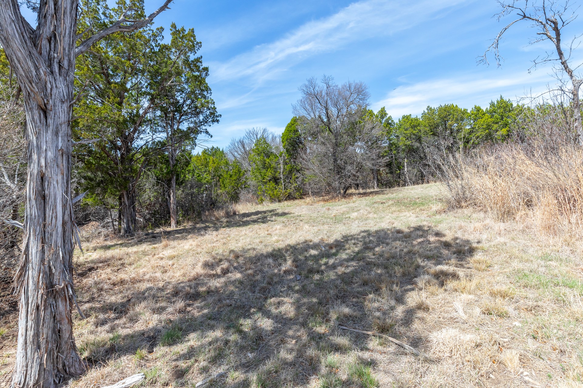 Tbd County Road 322 Tuscola TX 79562