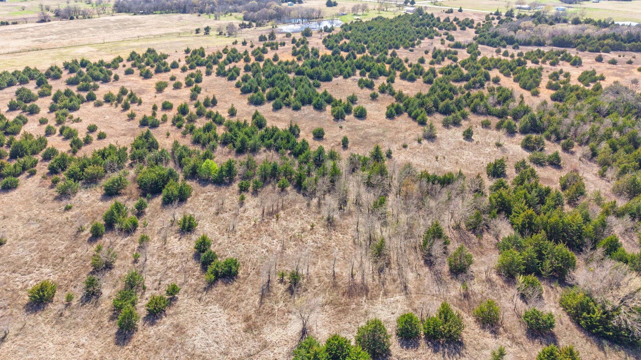 45.62 Acres S Highway 78 Bonham TX 75418