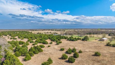 45.62 Acres S Highway 78 Bonham TX 75418